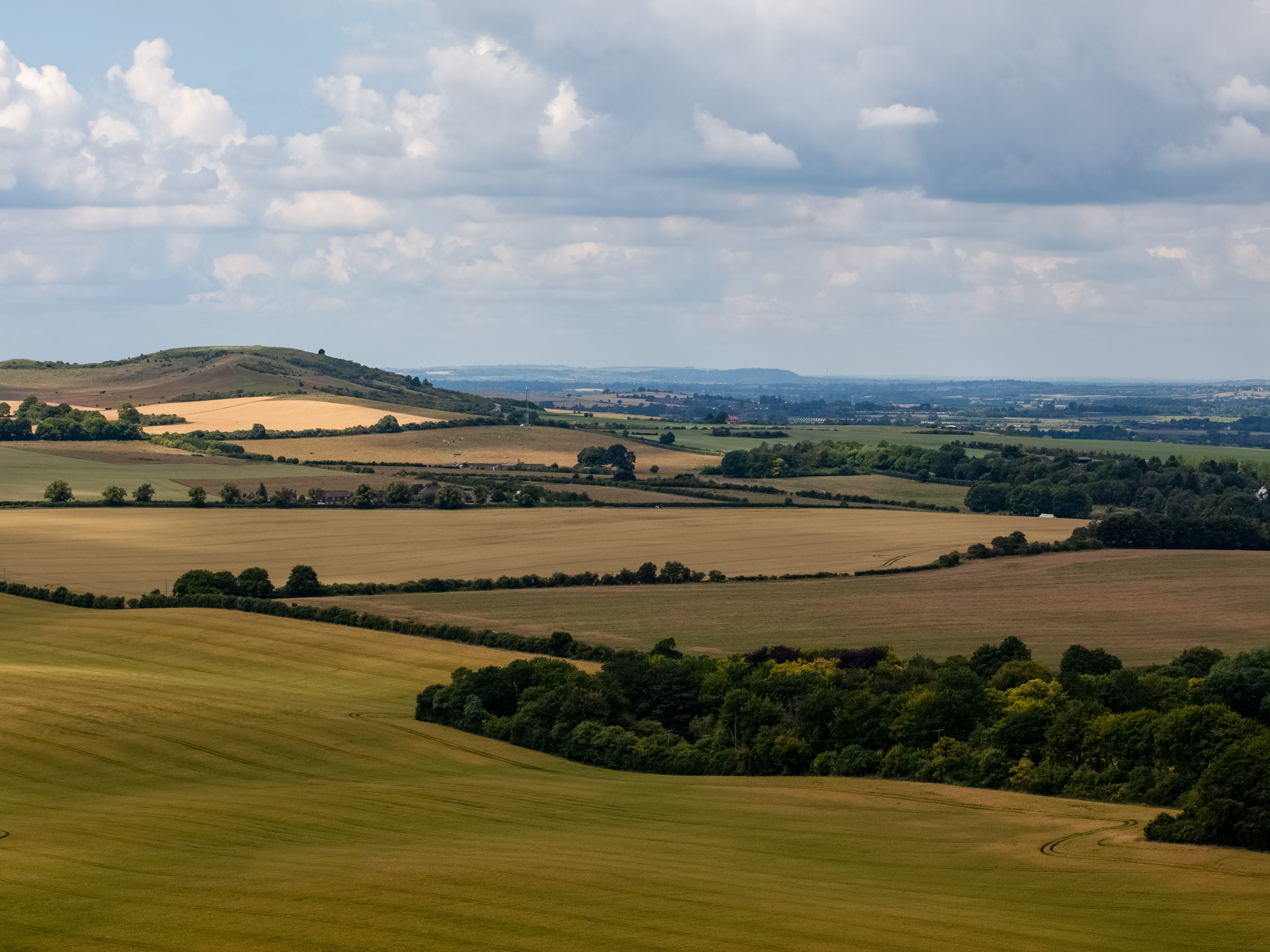 Chilterns Dunstable Downs Circular Walk