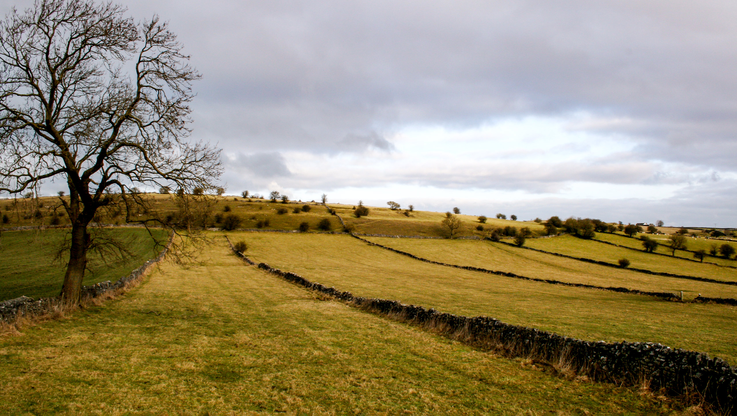 Miller’s Dale Circular Walk