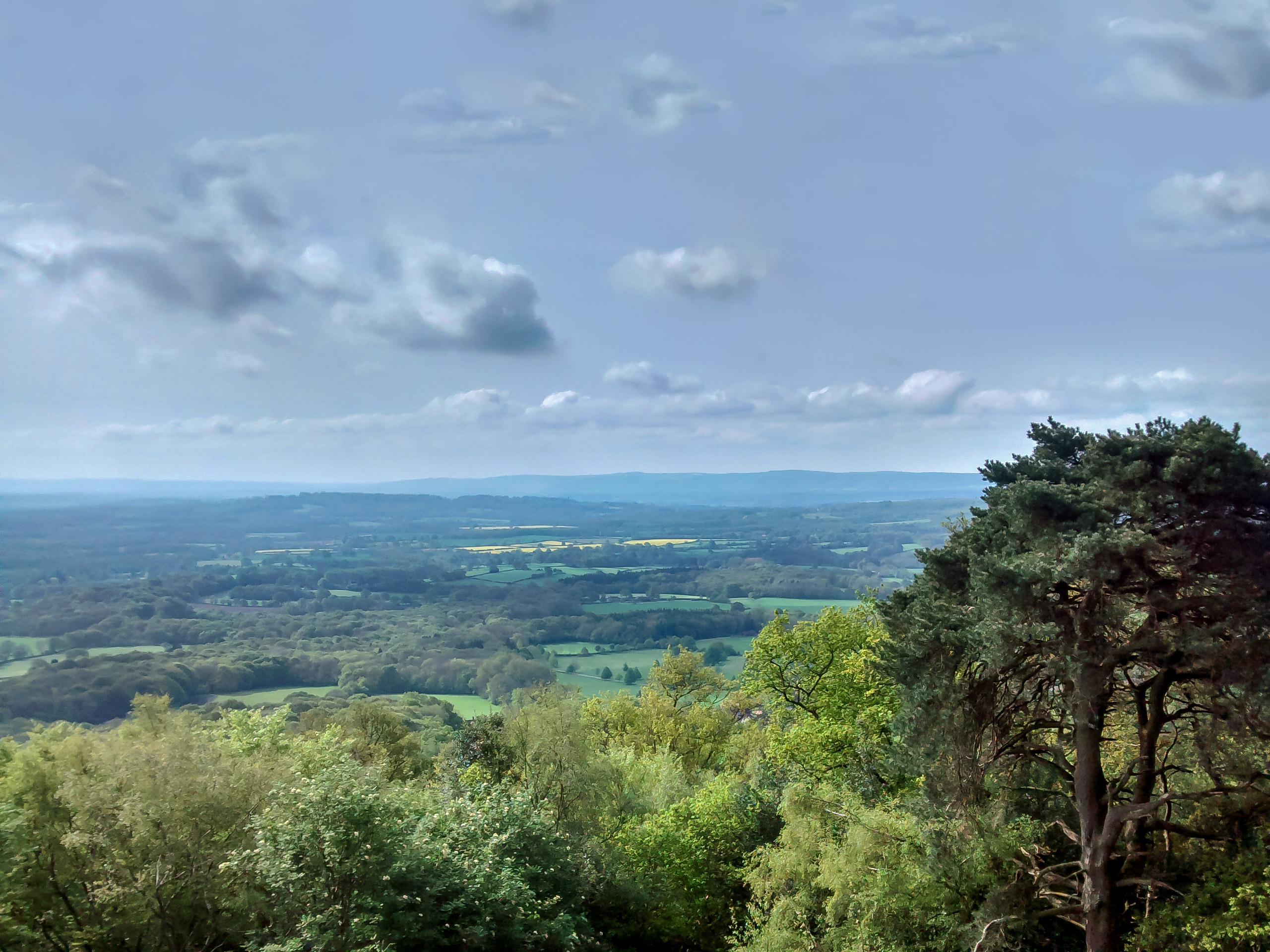 Black down walking in West Sussex