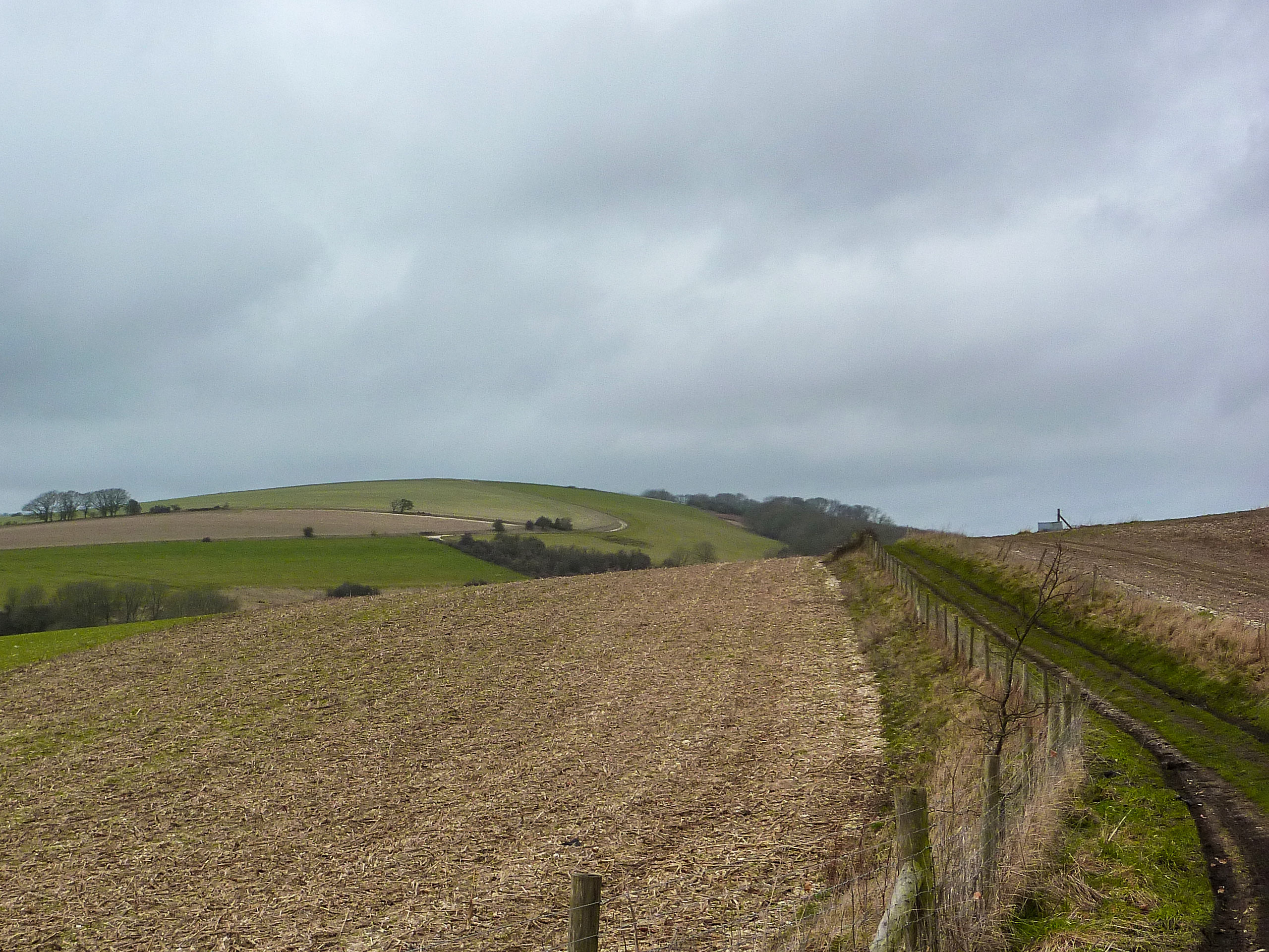 Walking trails Bignor and Upwaltham