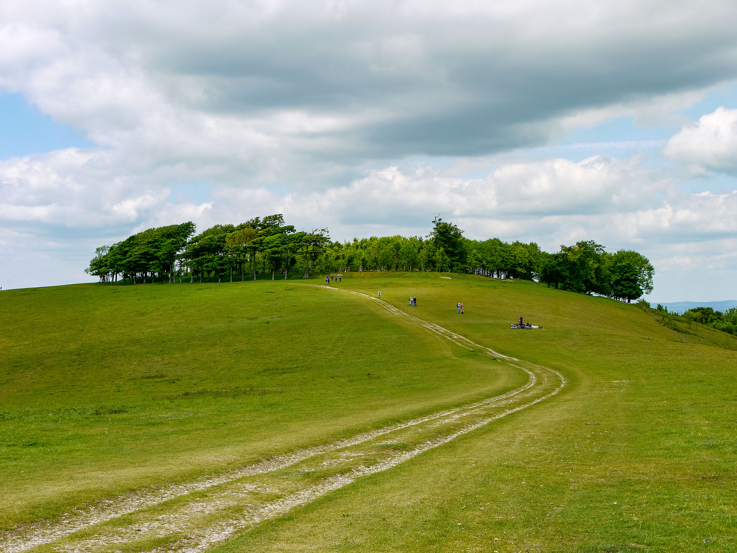 Chanctonbury Ring An Iron Age hill fort with a ring of 17th century trees