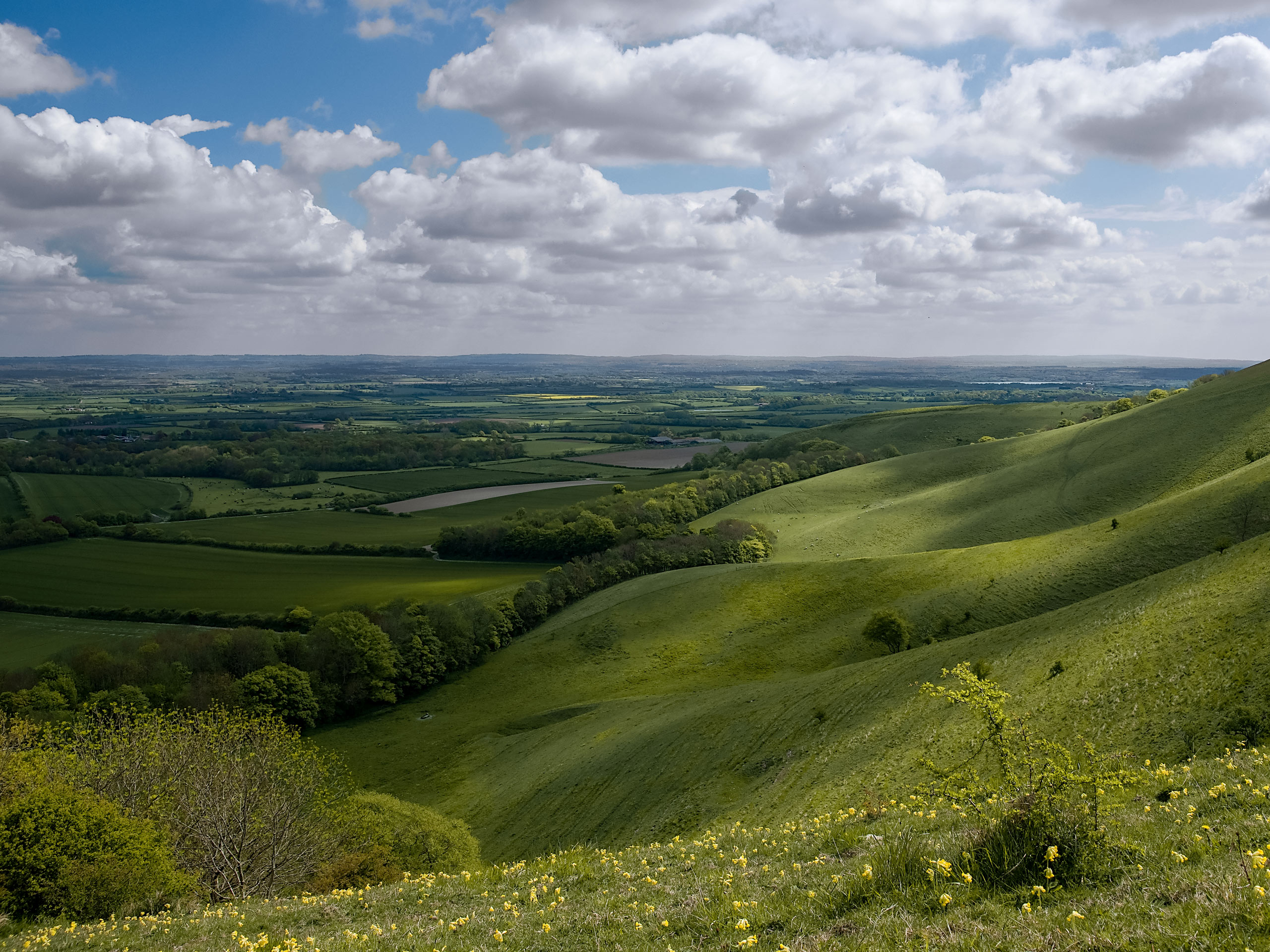 Firle Beacon Walk