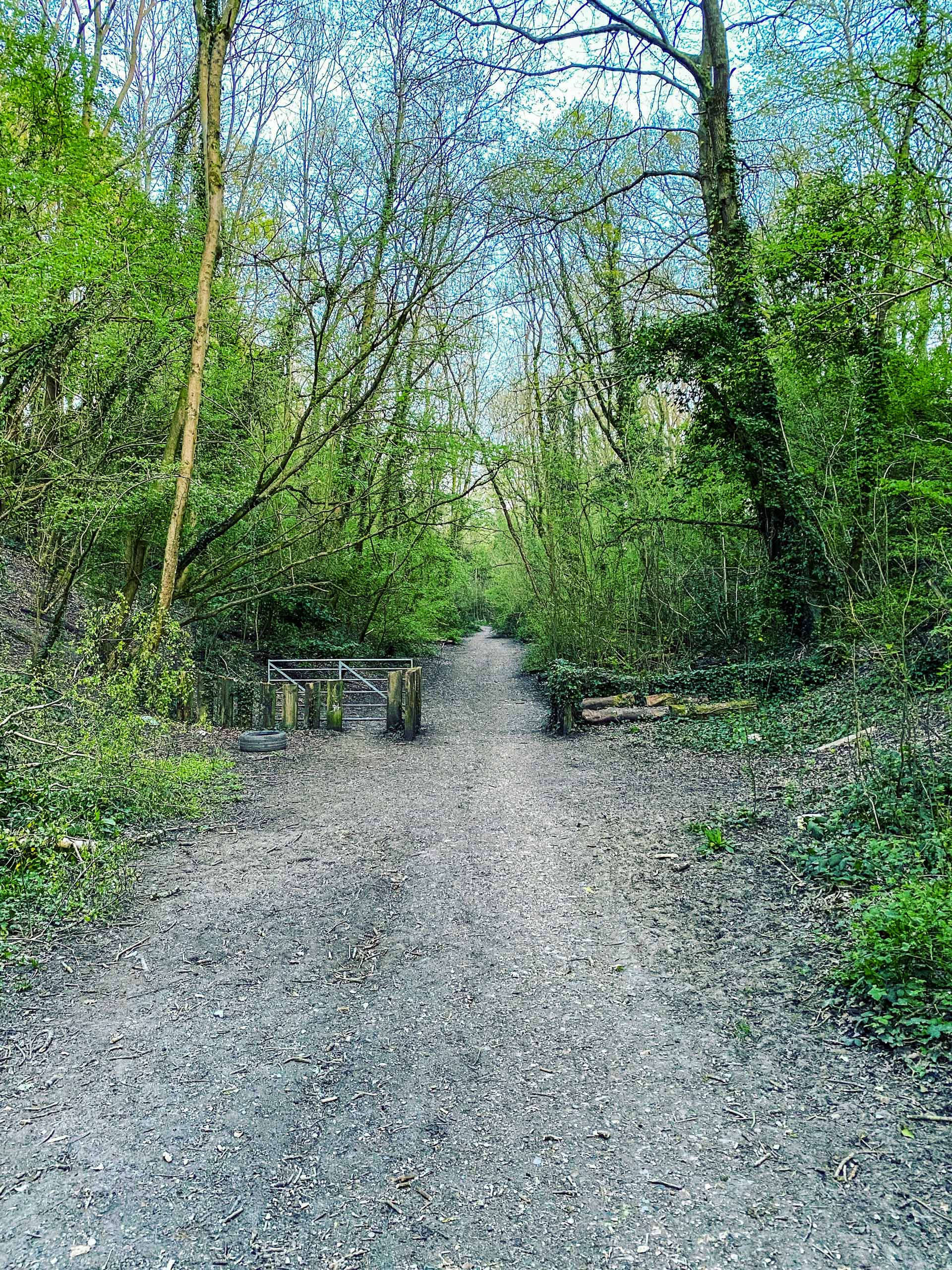 Walking-the-Copse-Bere-forest-near-Fareham-Hampshire