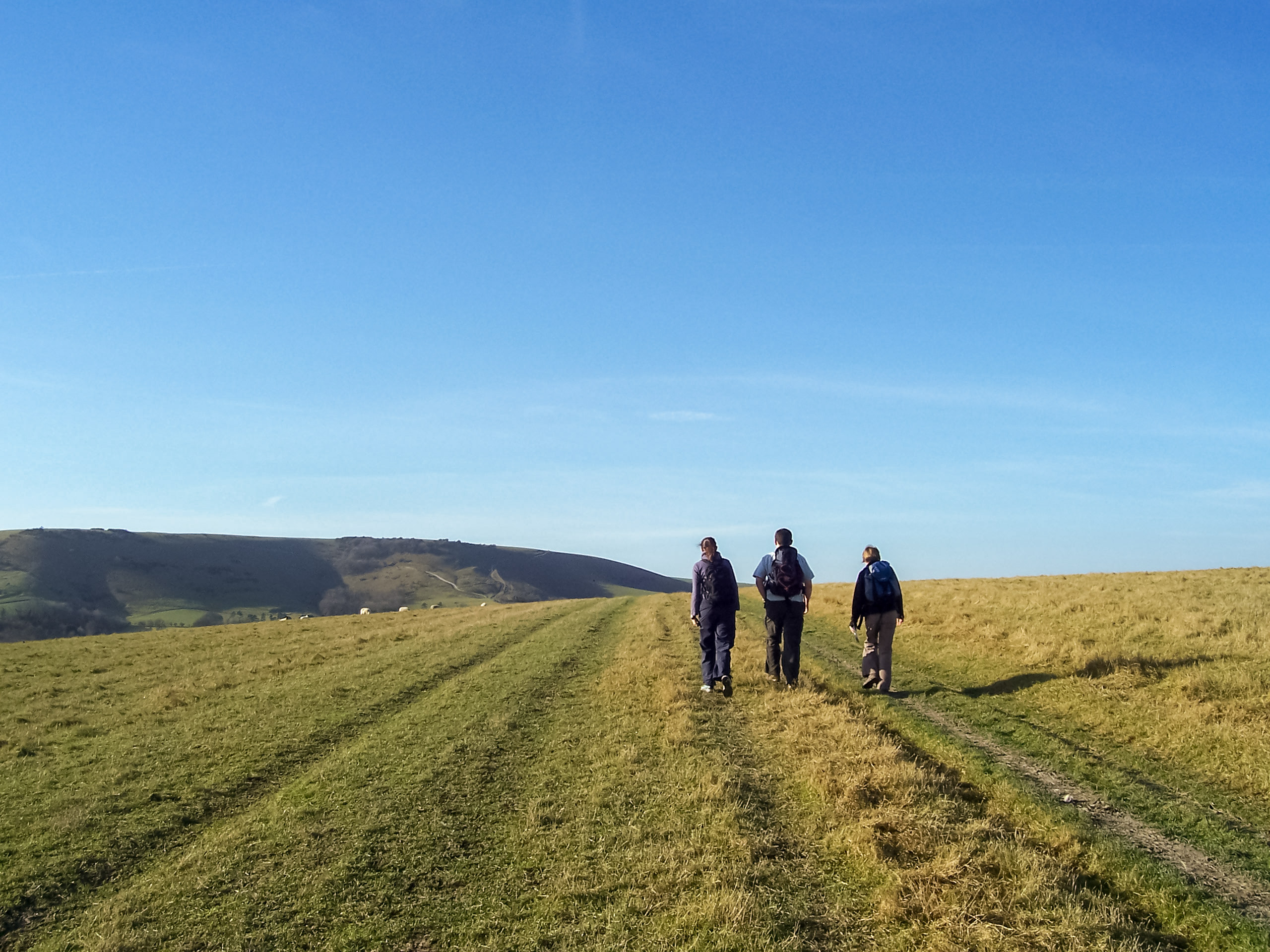 Near Lewes, the intrepid five walk through a field of sheep