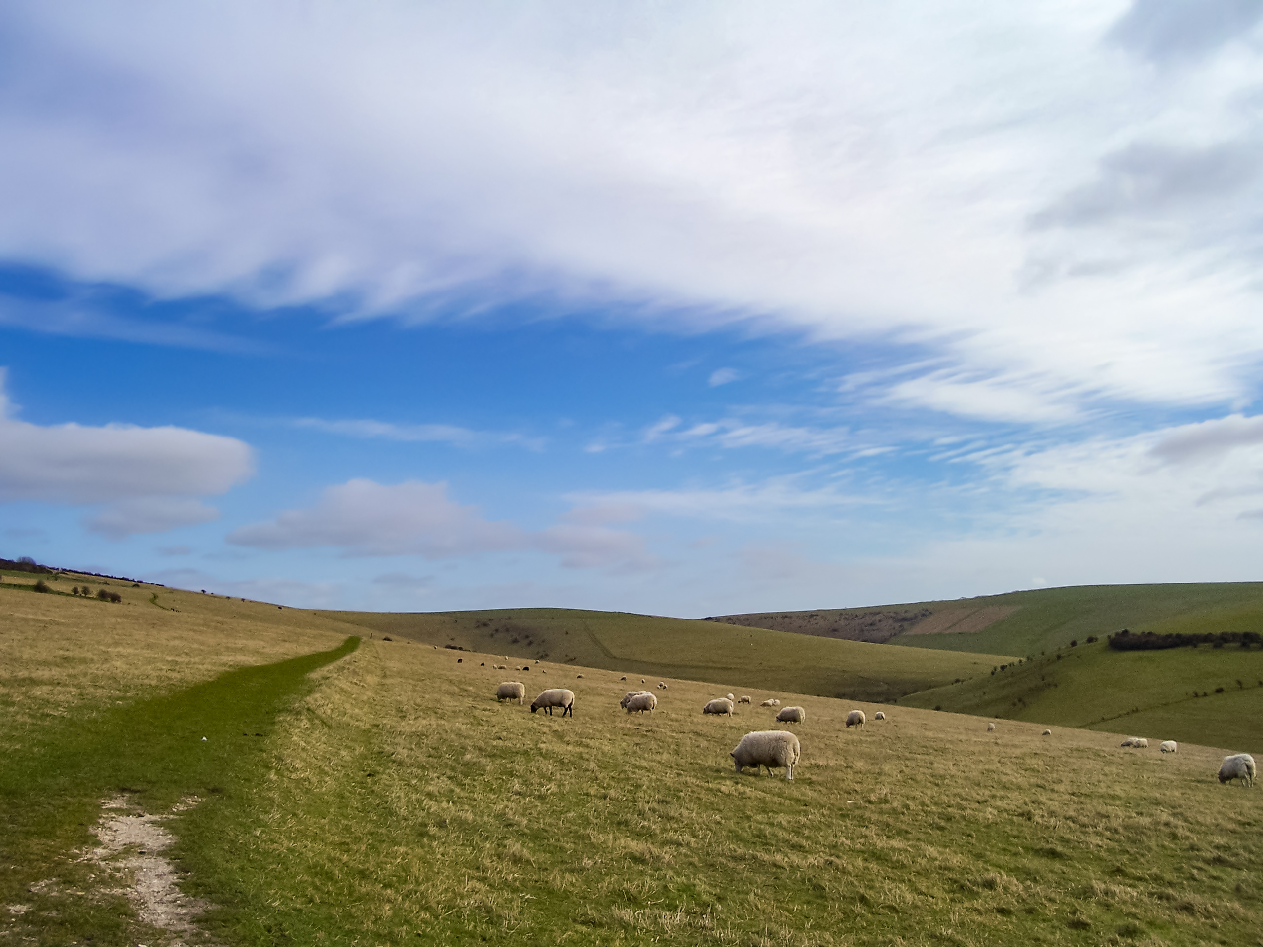 Southease to Eastbourne Walk Sheep hills and sky
