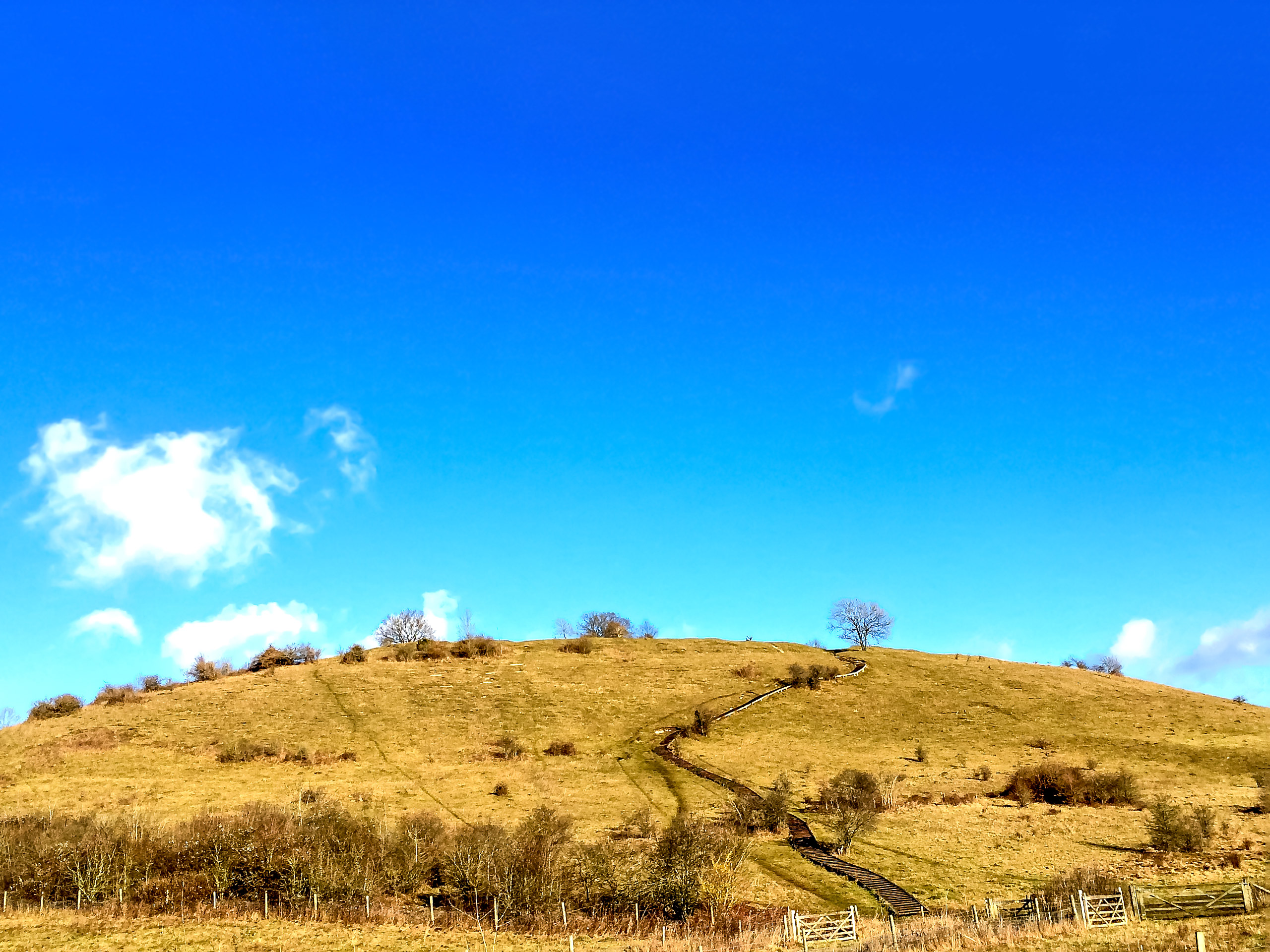 St Catherine's Hill Walk under a blue sky South Downs UK