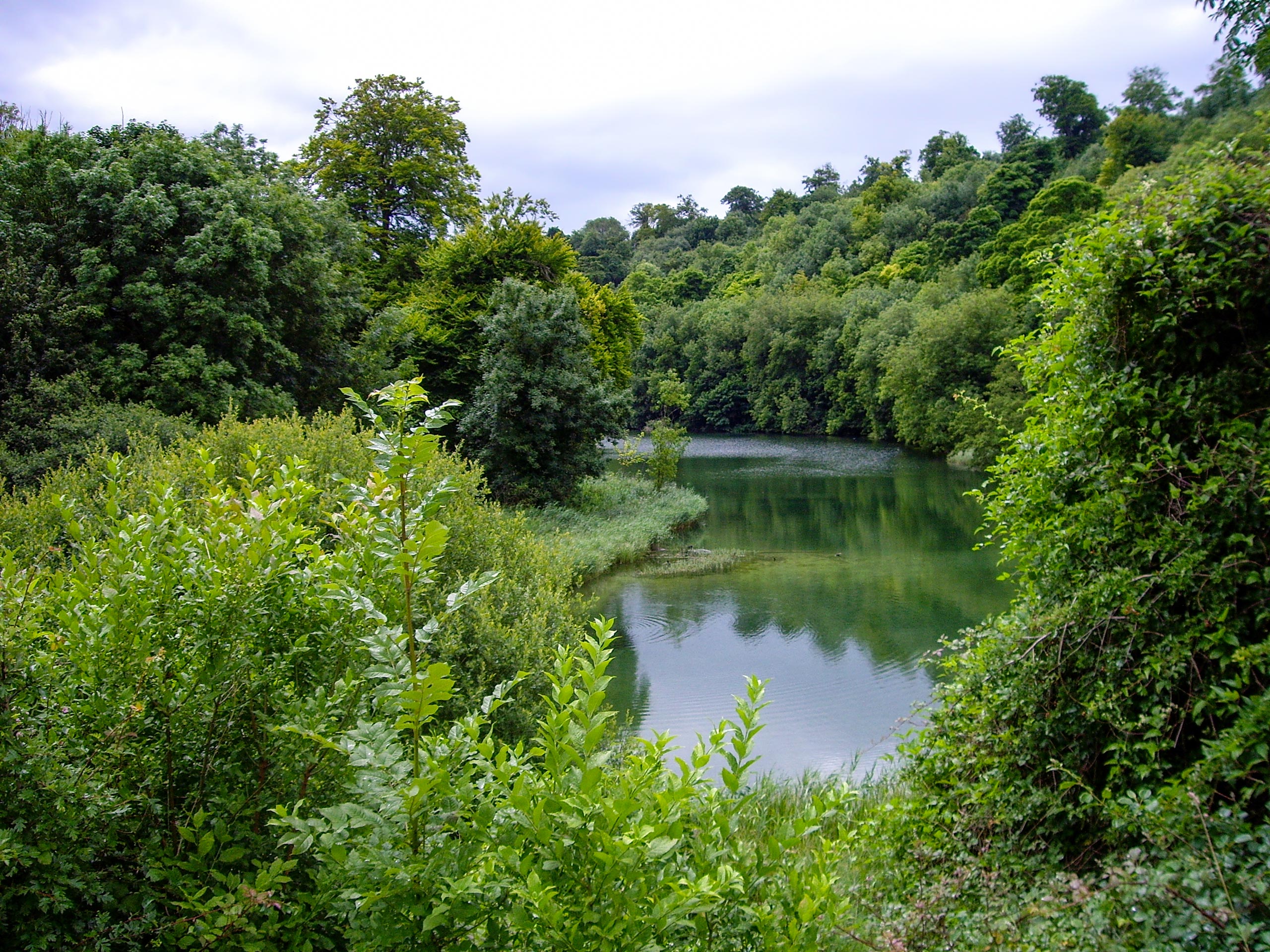 Swanbourne Lake Walk