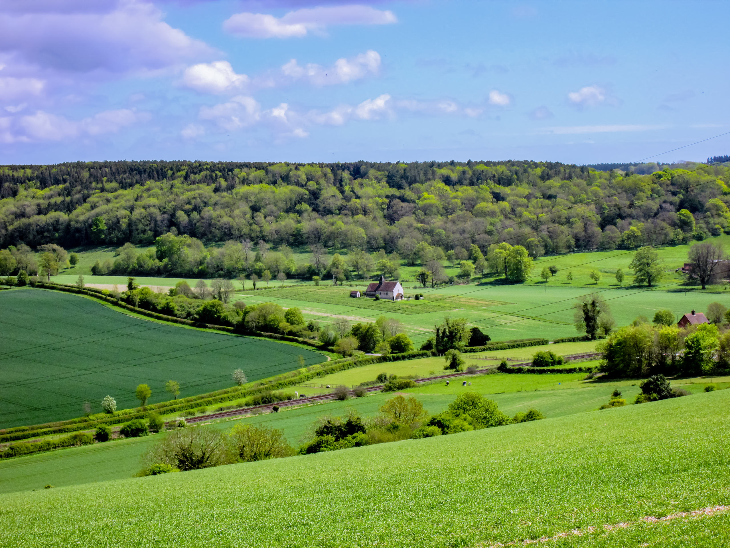 View over Idsworth Down Hampshire