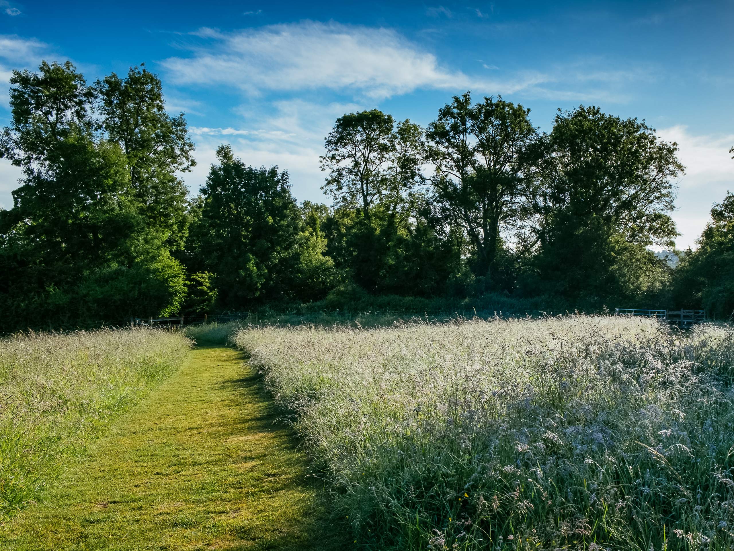 Winchester to Exton Walk