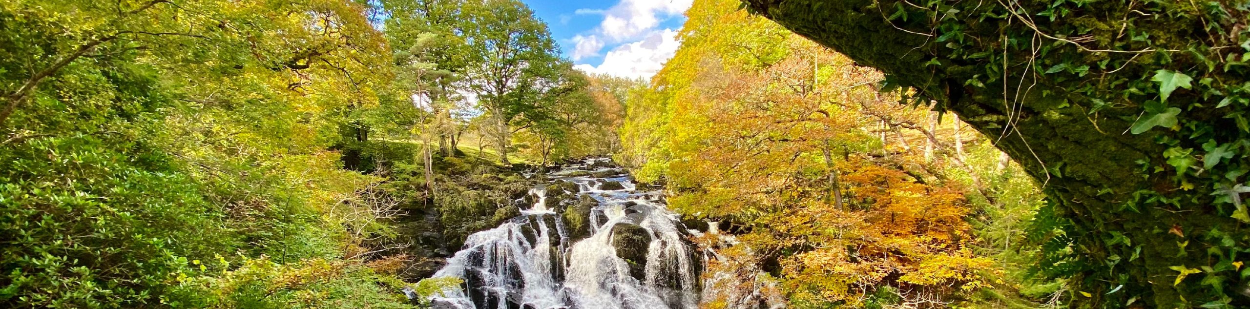 WATERFALL IN SNOWDONIA NATIONAL FOREST