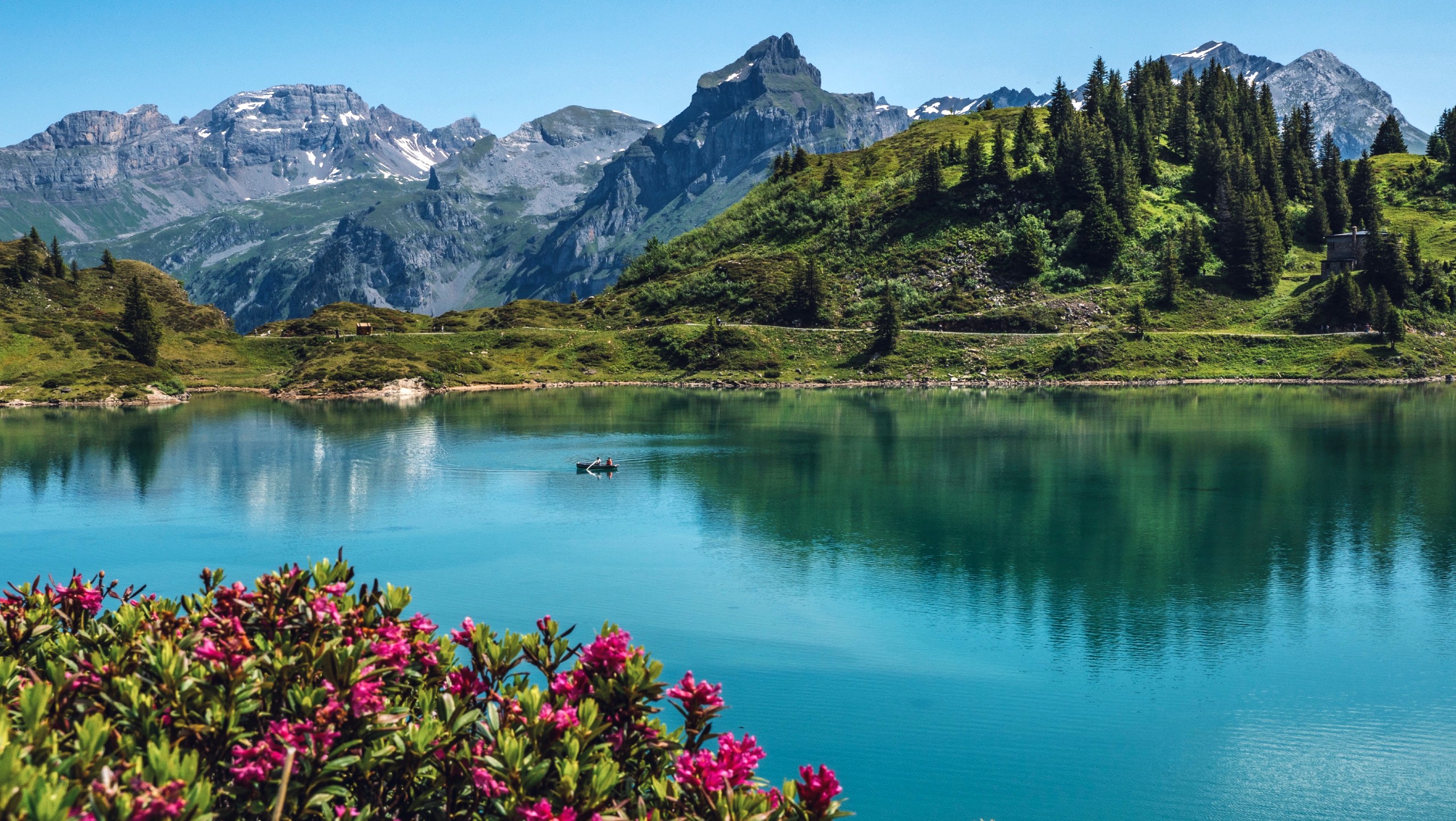 Swiss Alps Hiking