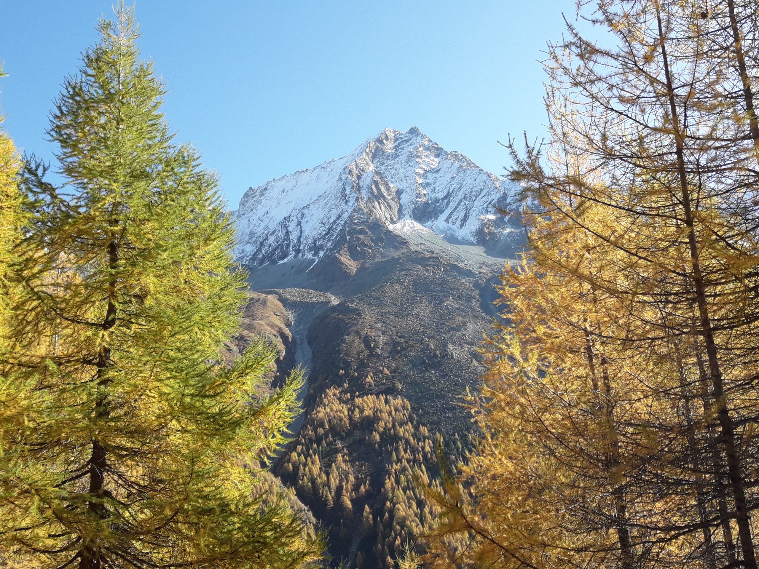 Autumn colors near Lac Bleu