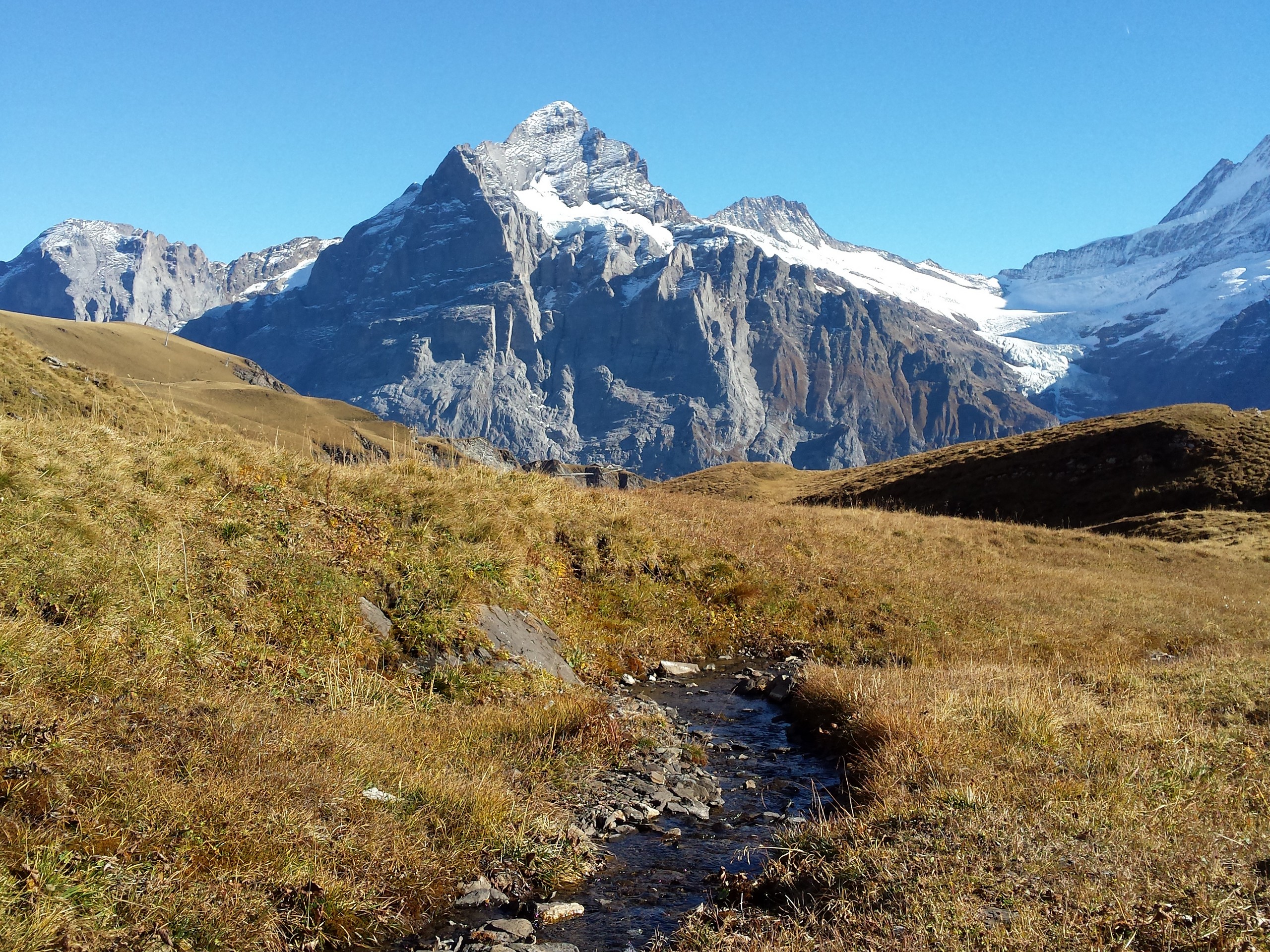 Alpine meadows in Switzerland