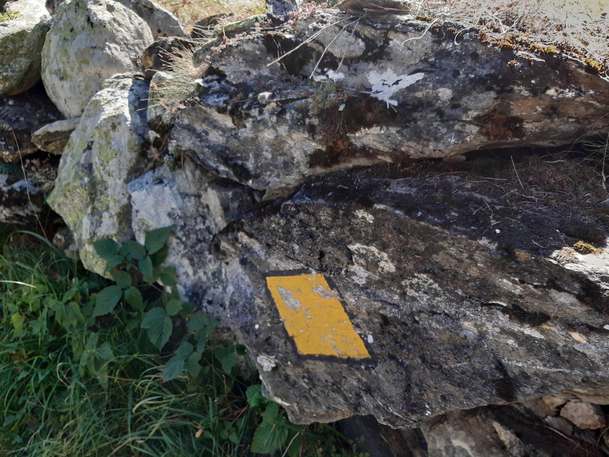 Diamond trail marker towards the Edelweiss Hut