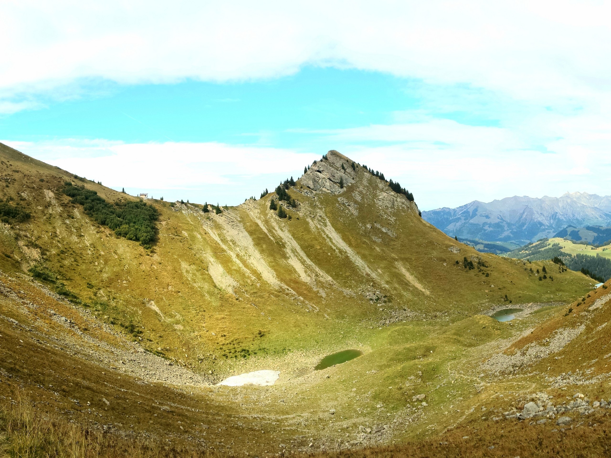 Meadows along the Lac Loison trail