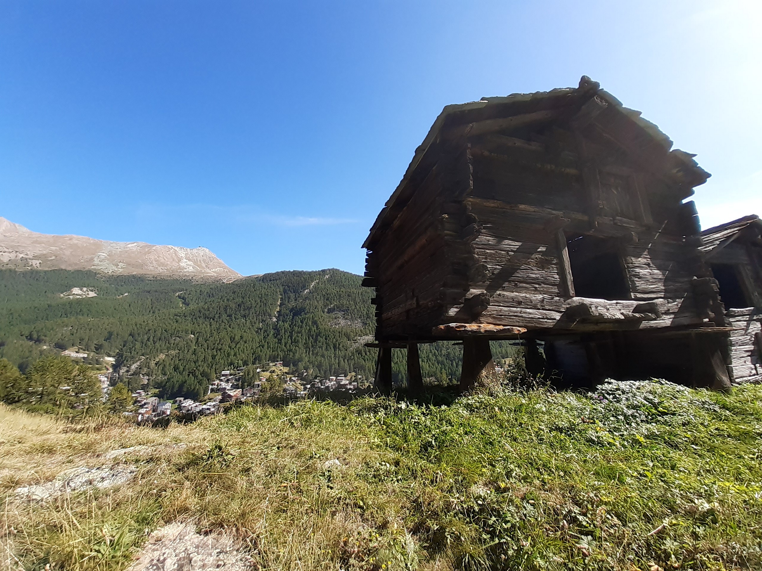 Traditional pasture in Swiss Alps