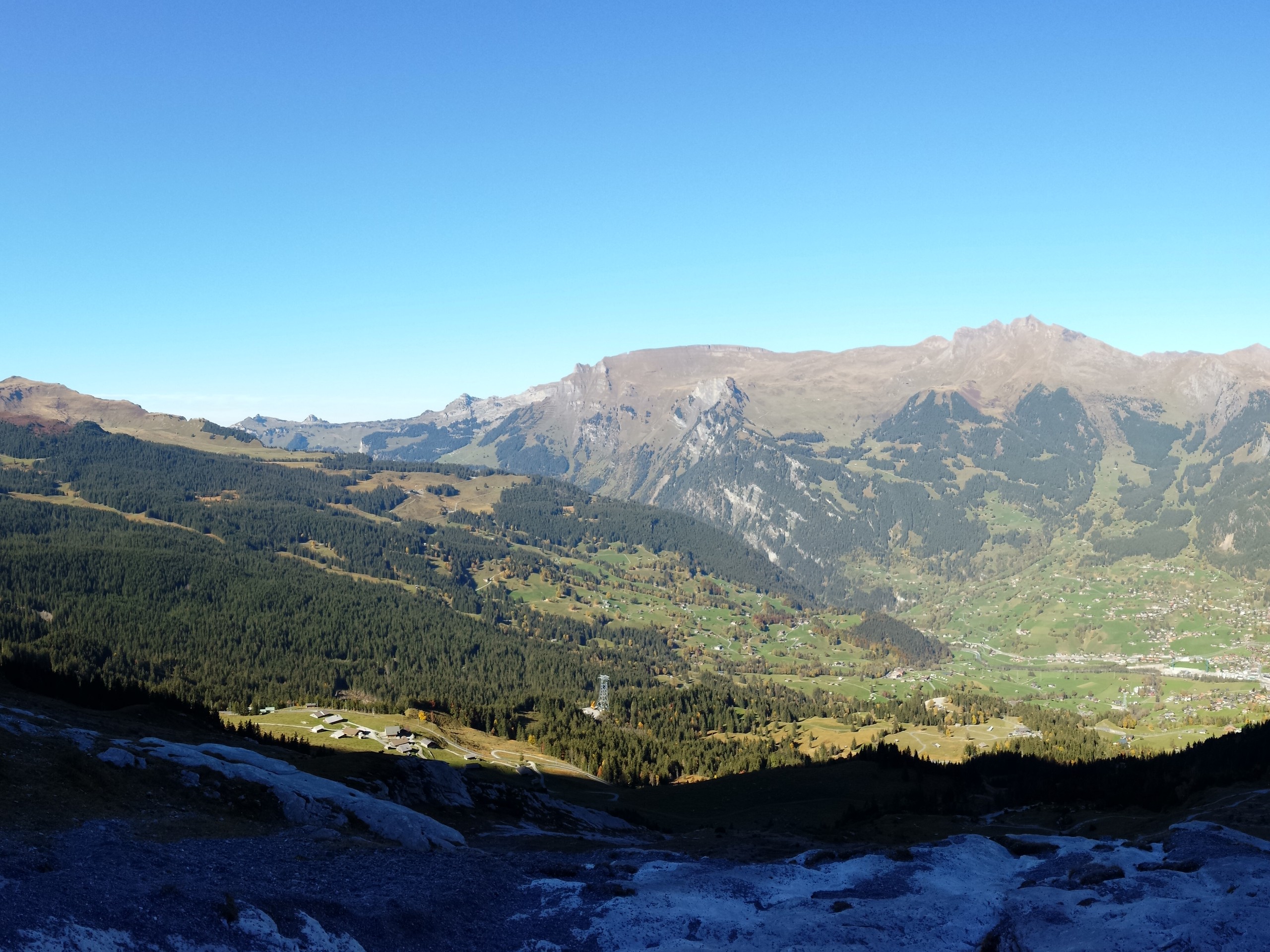 Meadows below the Eiger Trail in Switzerland