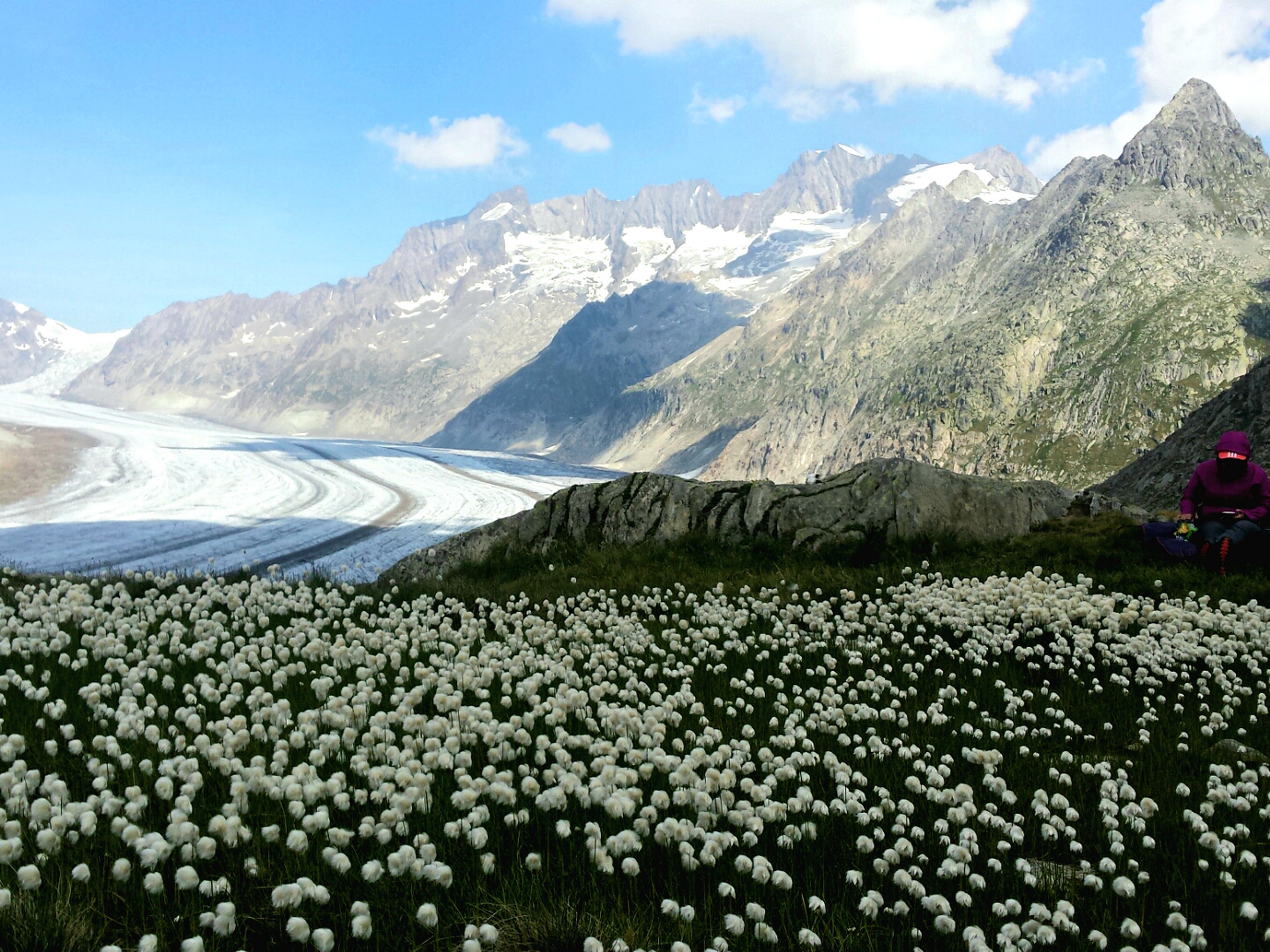 Picnic near Altesch Glacier