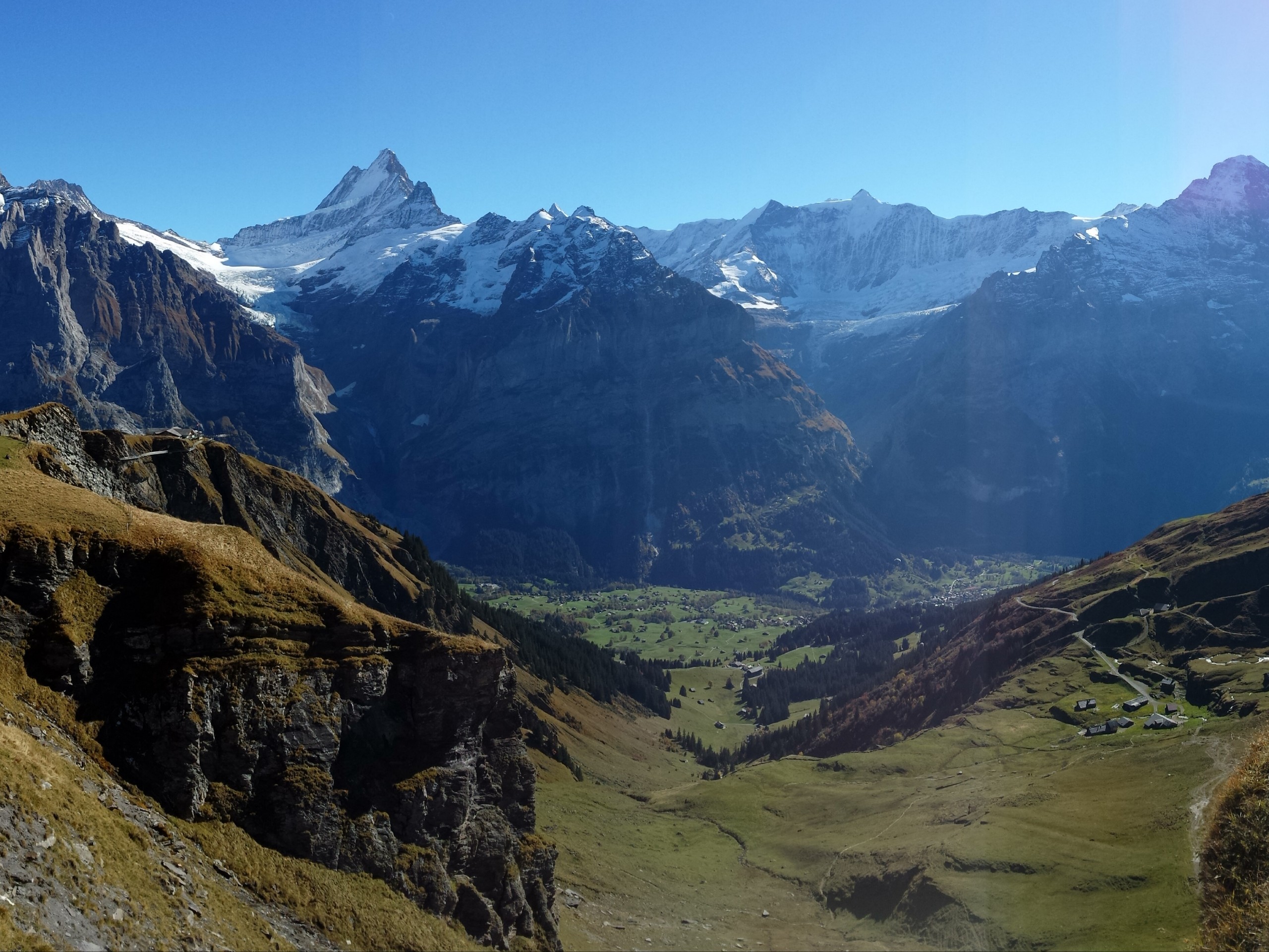 Green meadows in Swiss Alps