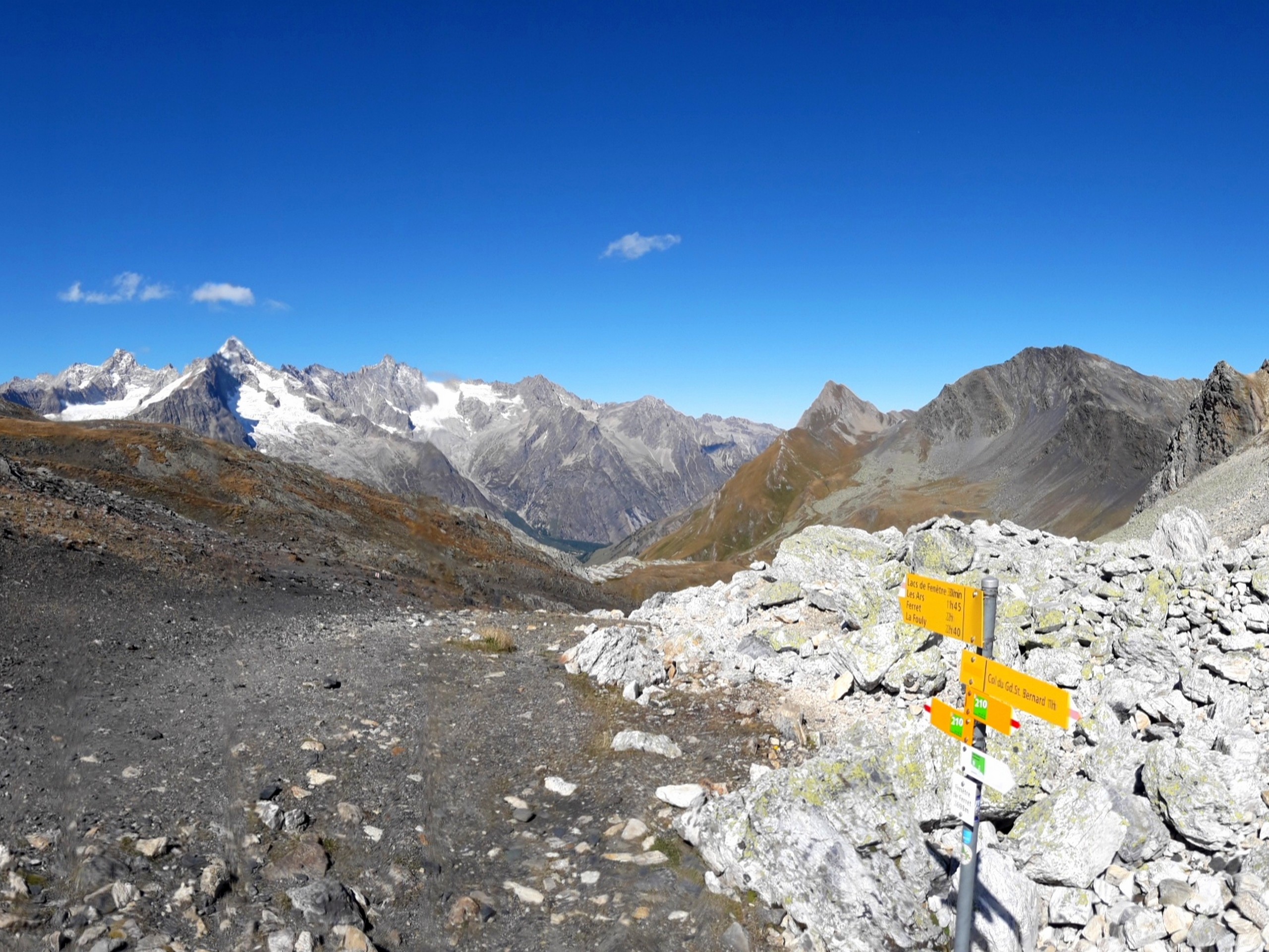 Alpine meadows near Lacs du Fenetre route