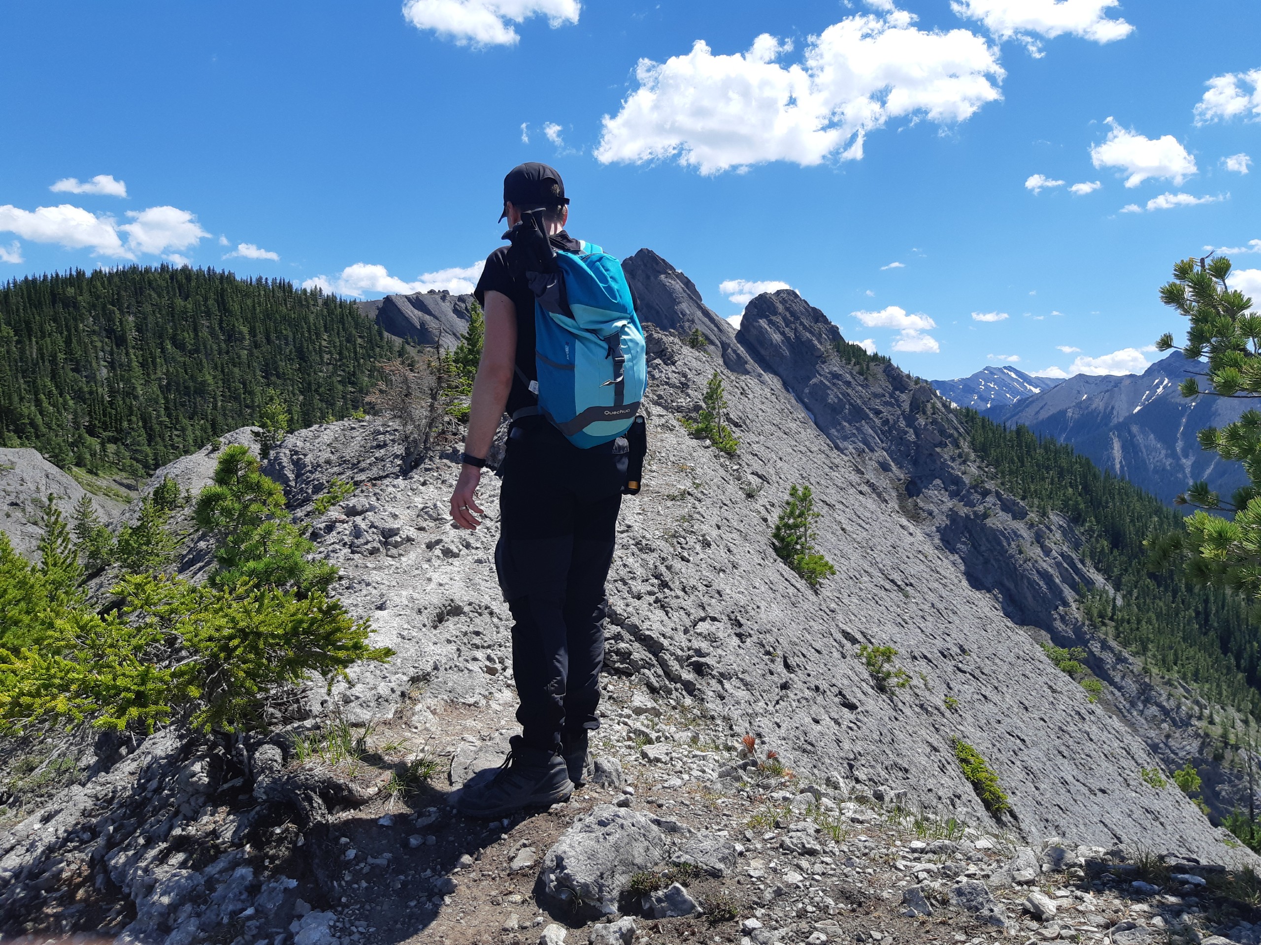 Walking on Porcupine Ridge in Kananaskis