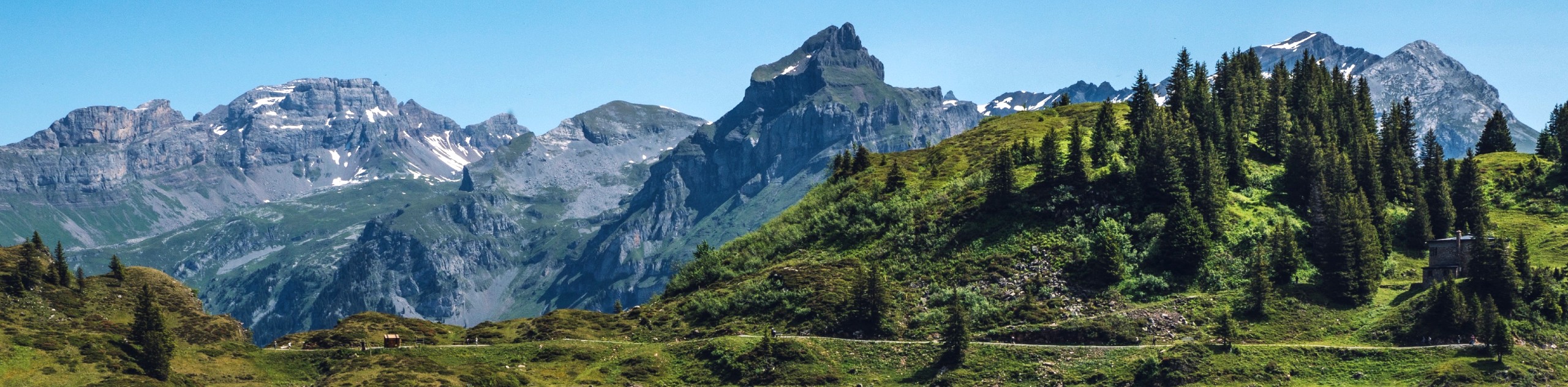 Swiss Alps Hiking