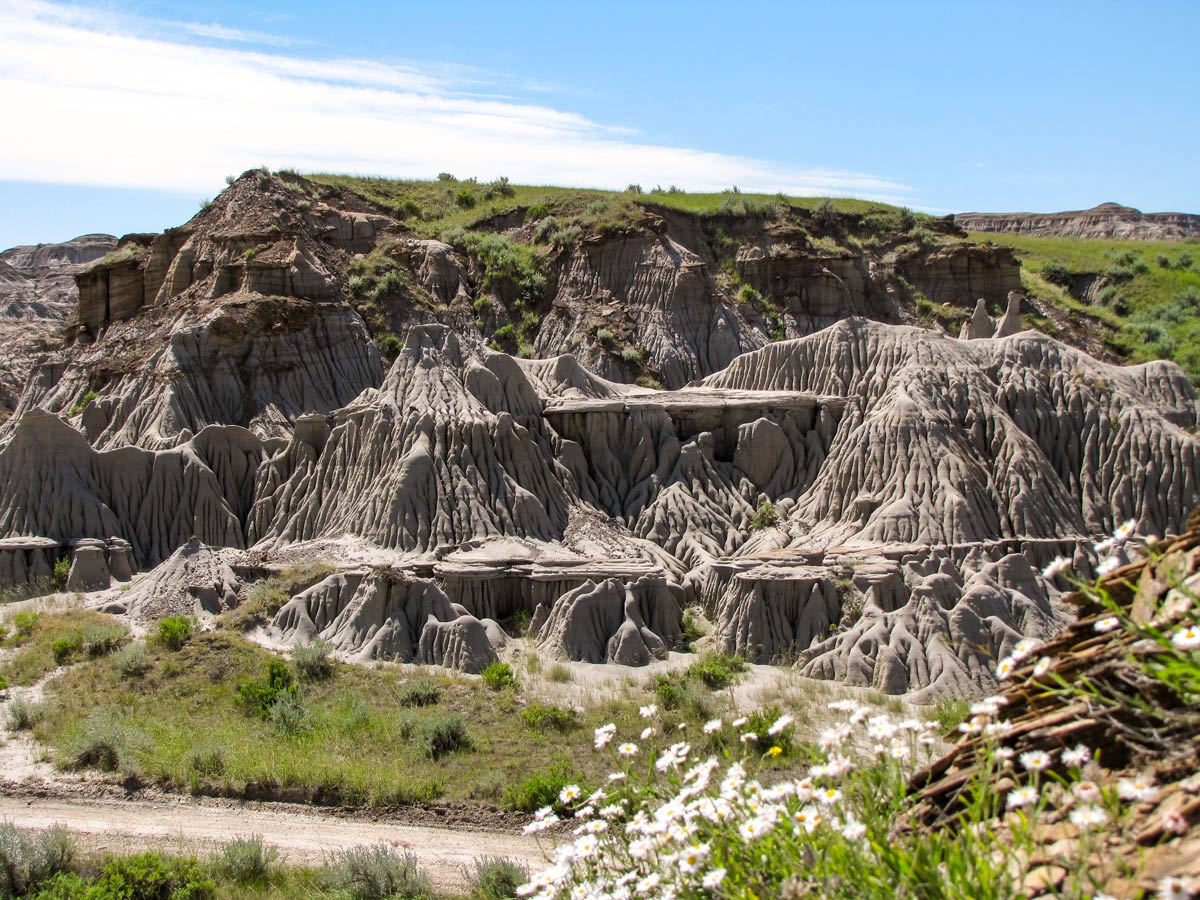 Drumheller badlands hoodoos fossils and Alberta desert