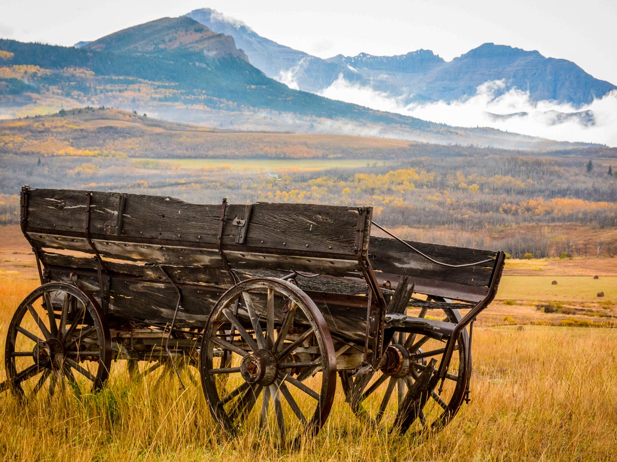 Old wagon on the Prairies of Alberta