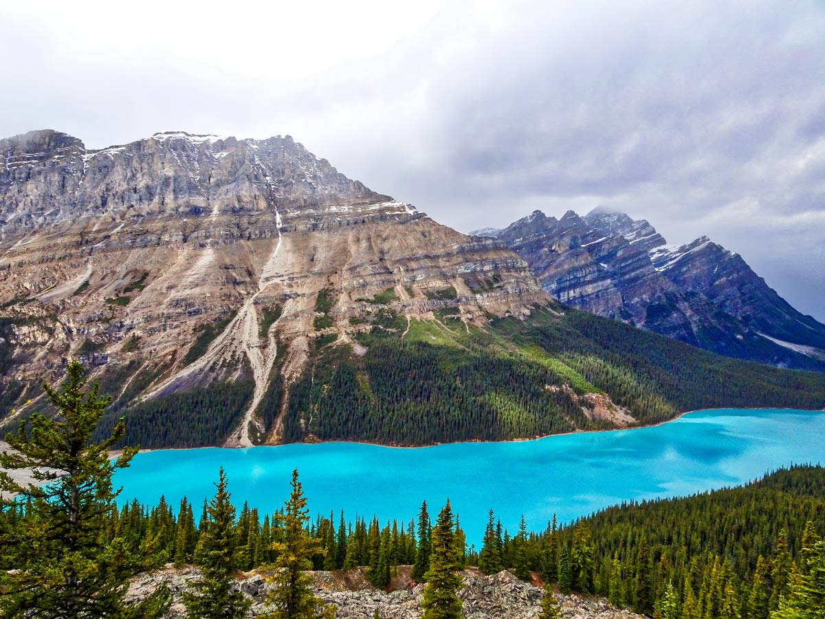 Peyto Lake on Icefields Parkway
