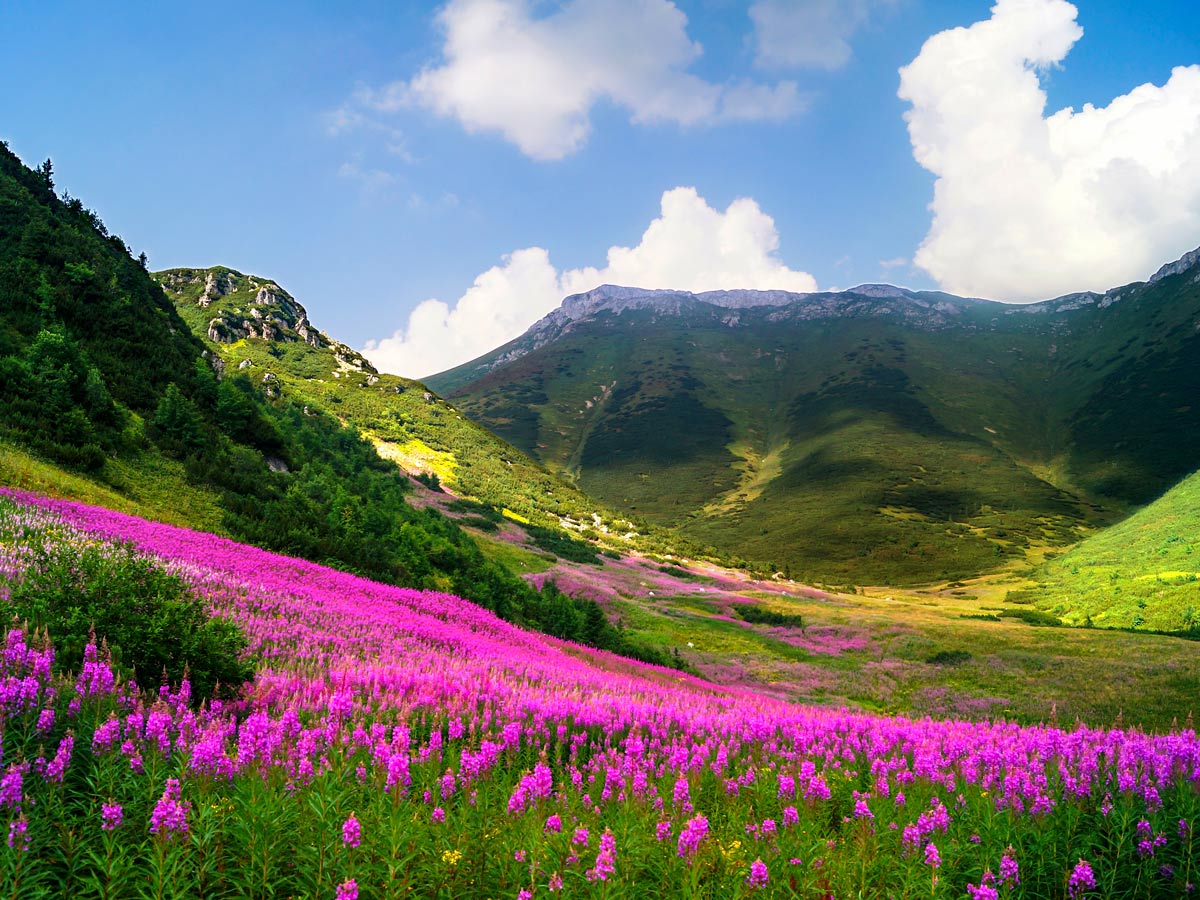 Hiking Slovakia