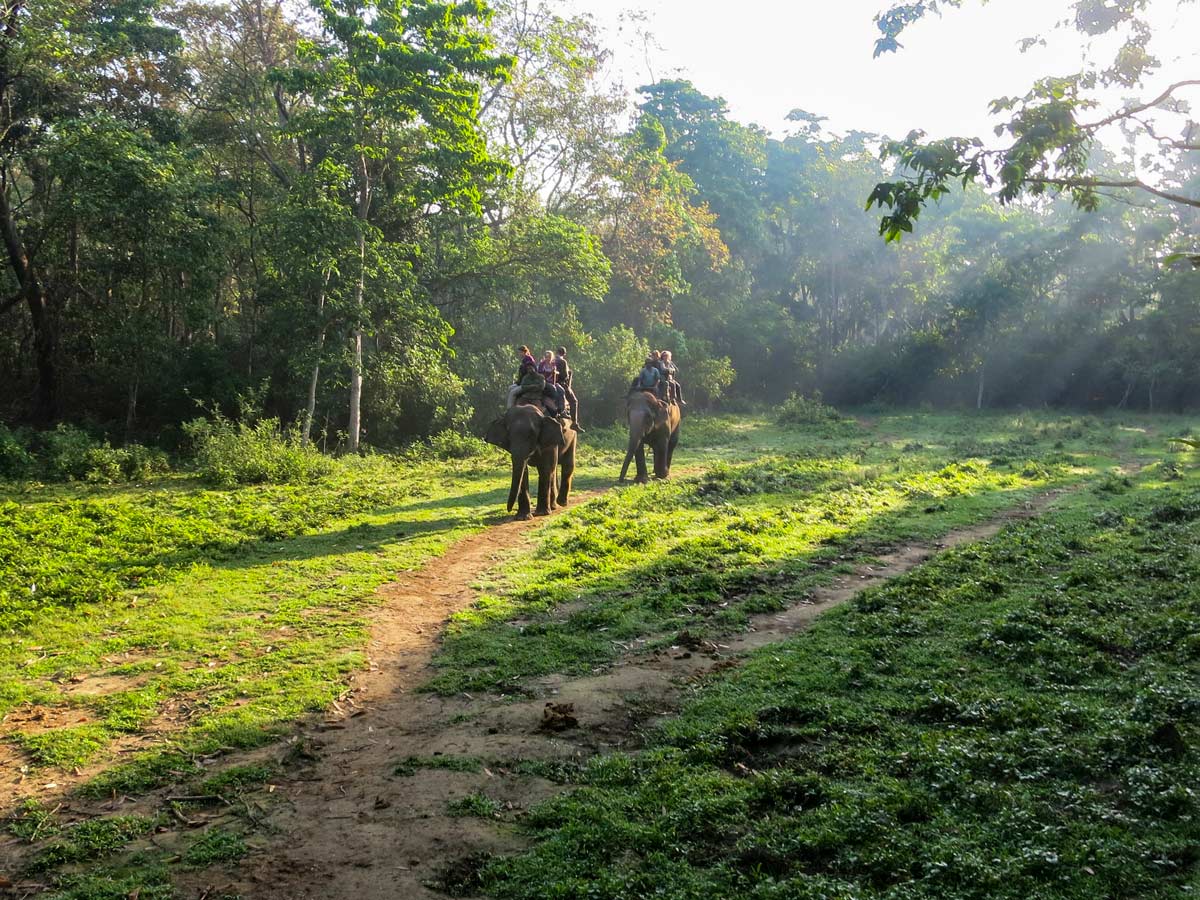 Elephant ride and safari wildlife viewing in Chitwan National Park Nepal