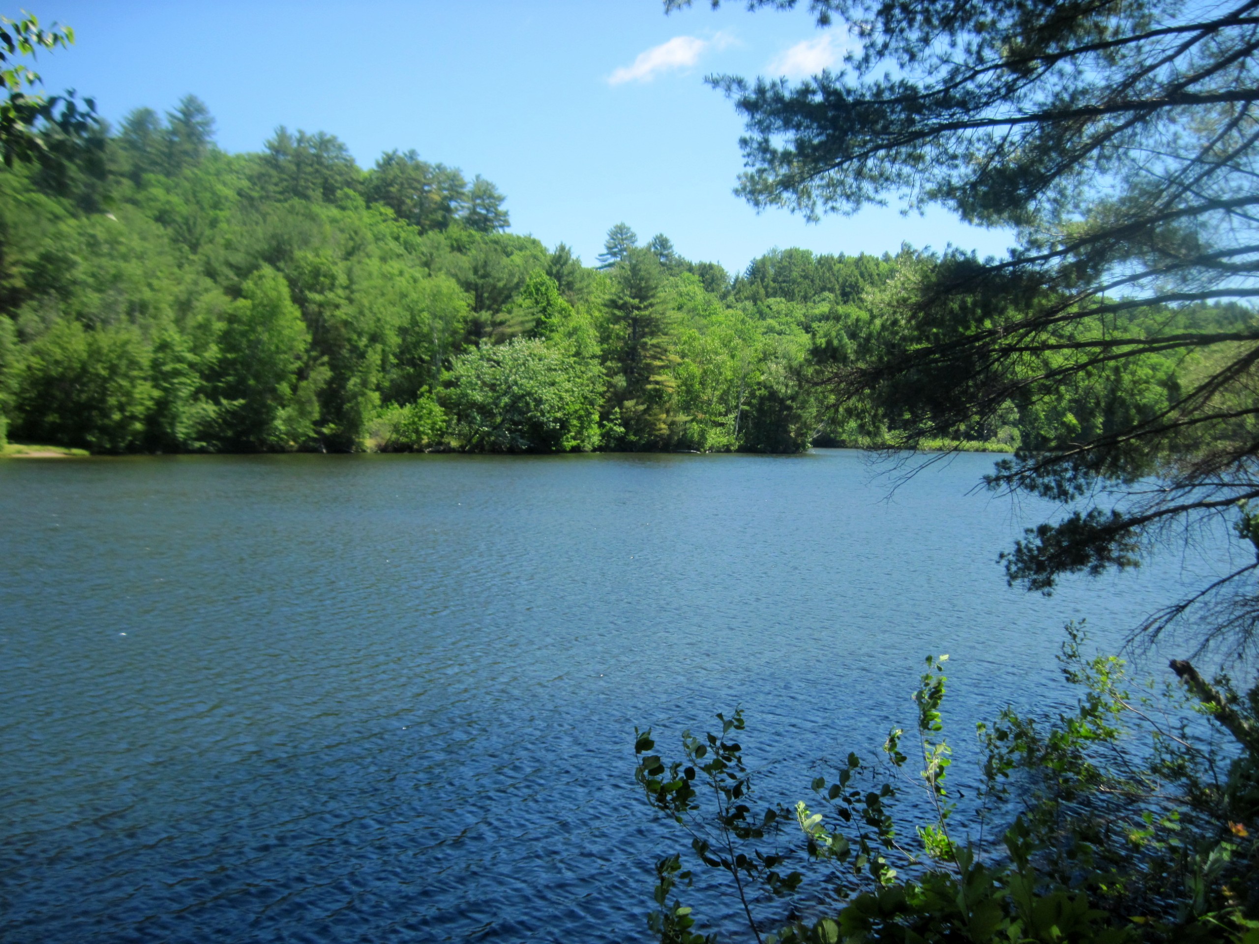 Piney Point Trail