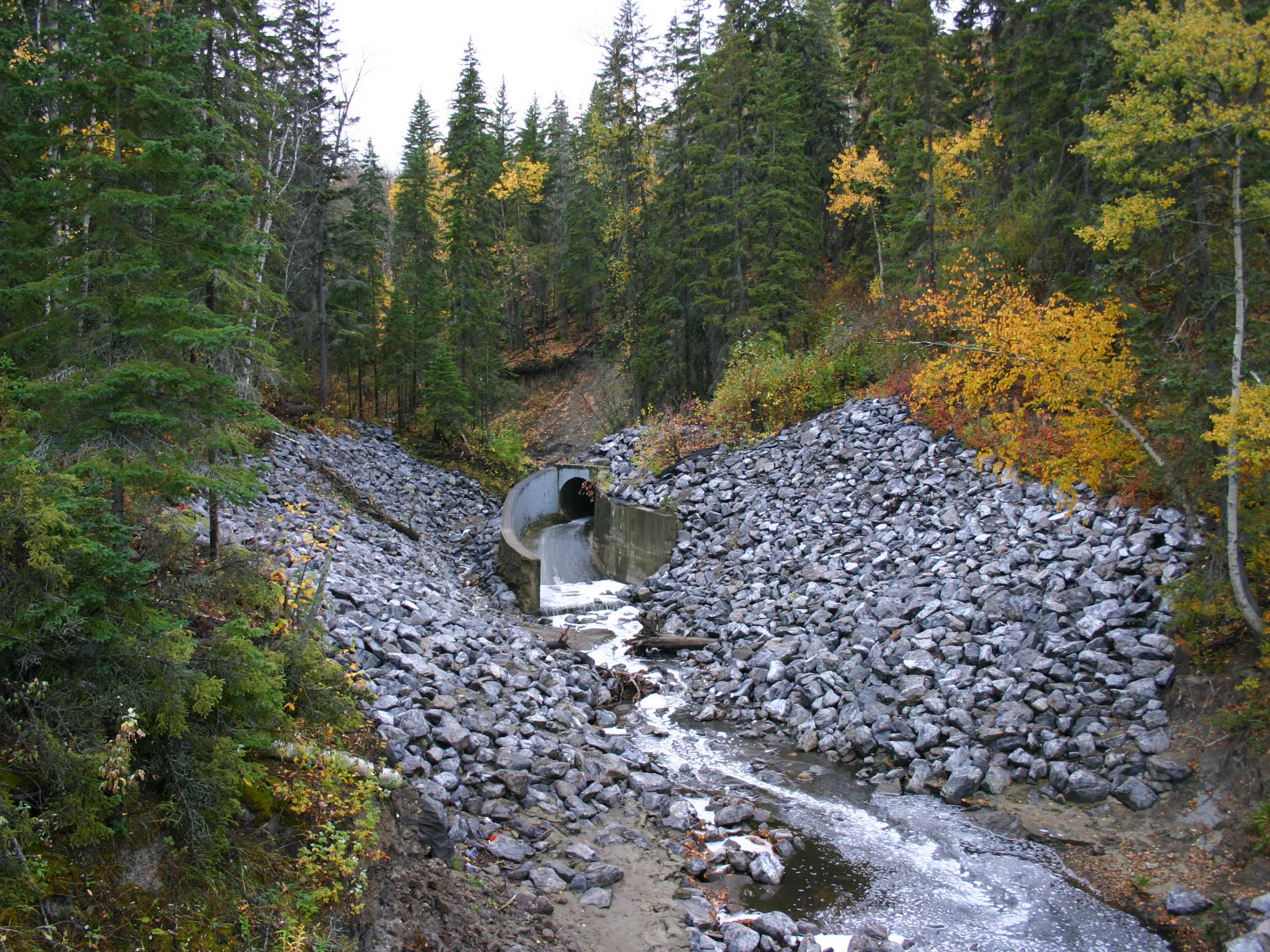 Wolf Willow Trail Loop