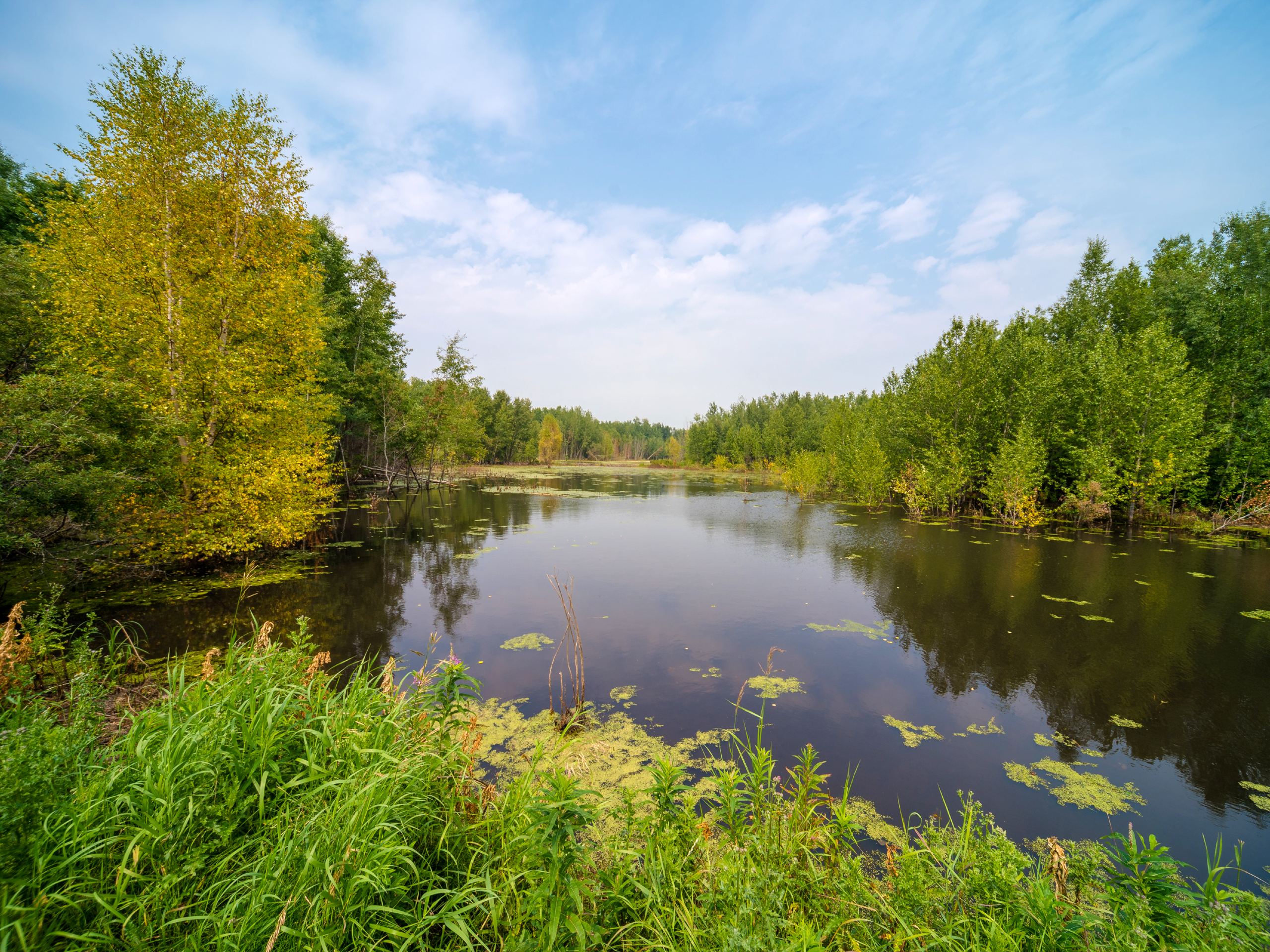 Beaver Pond Trail