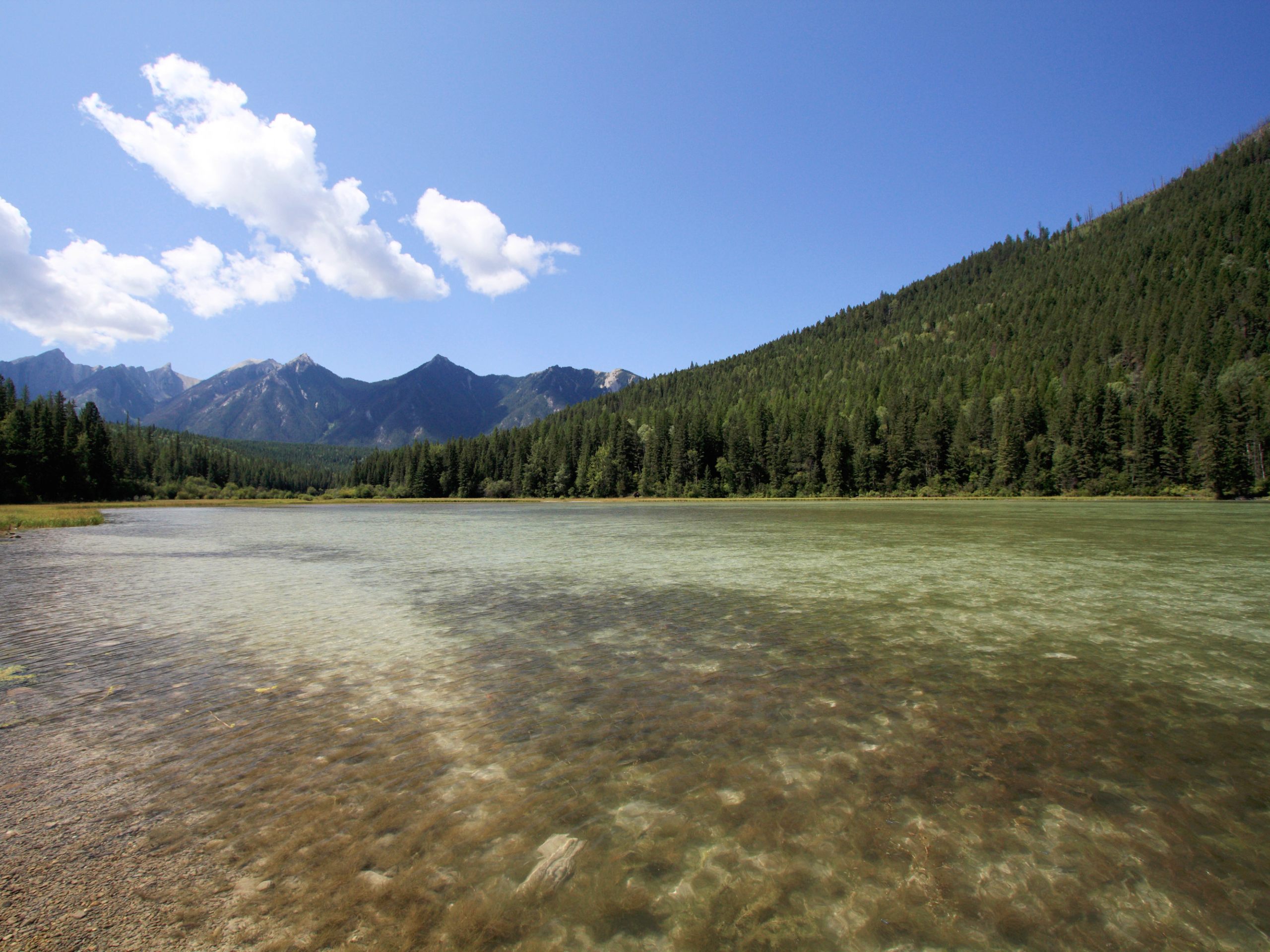 Whiteswan North Shore Trail Loop