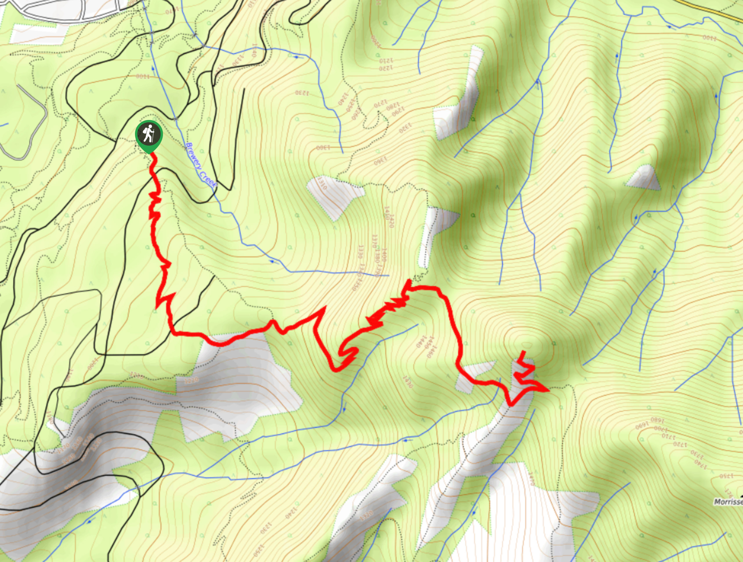 Castle Mountain Trail Map