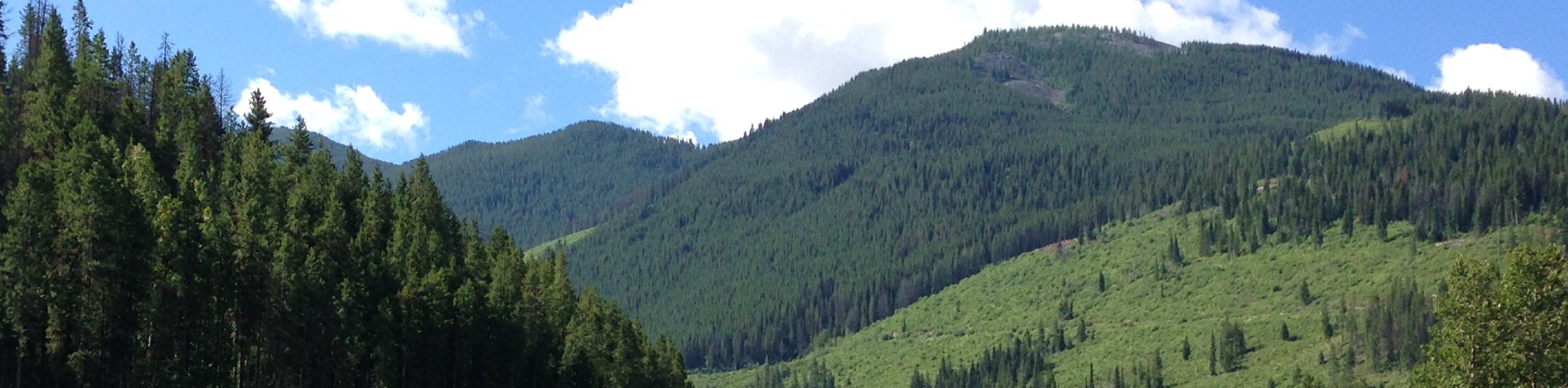 Panorama Mountain Village Trail