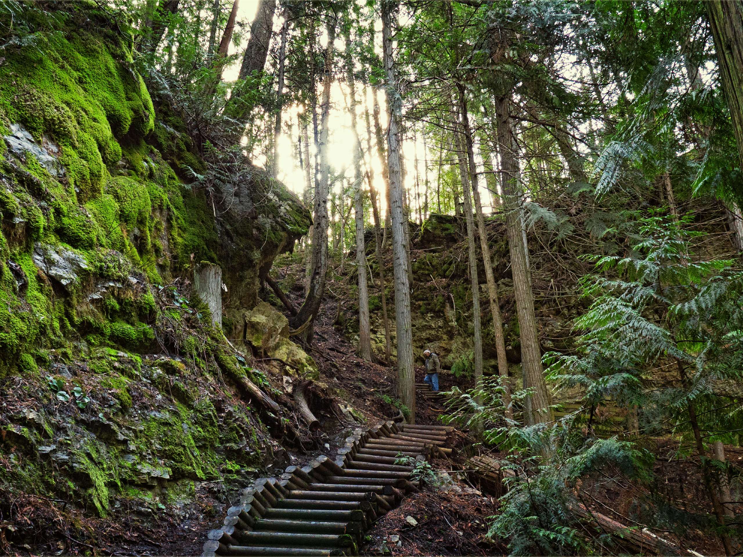 BX Falls Hike