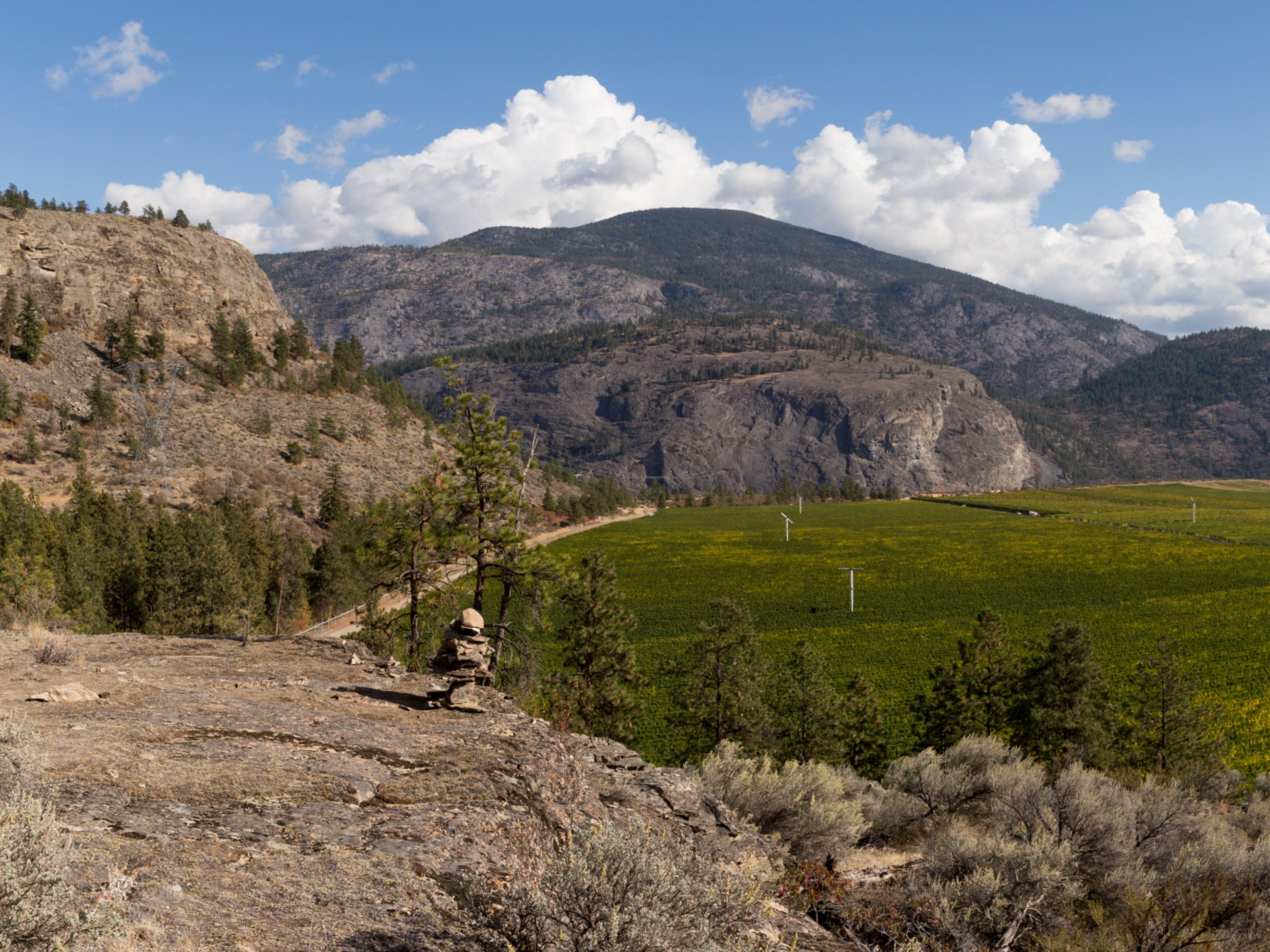 McIntyre Bluff Hike