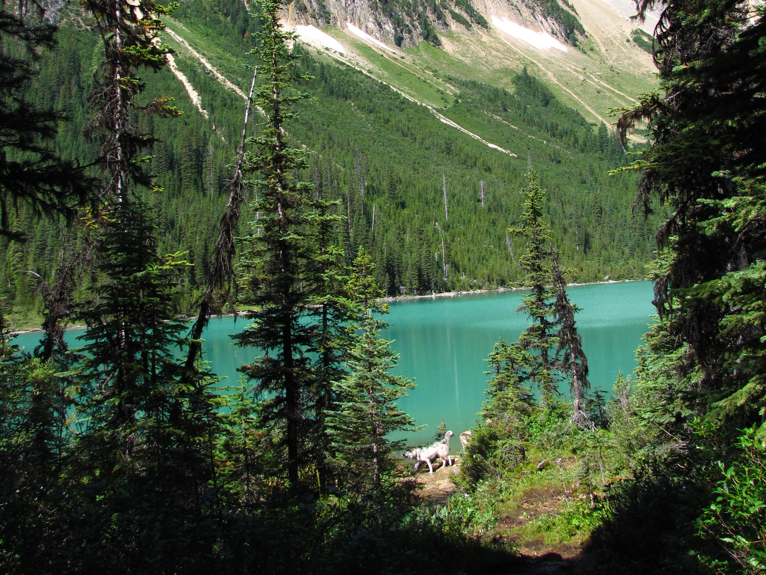 Sherbrooke Lake Hike