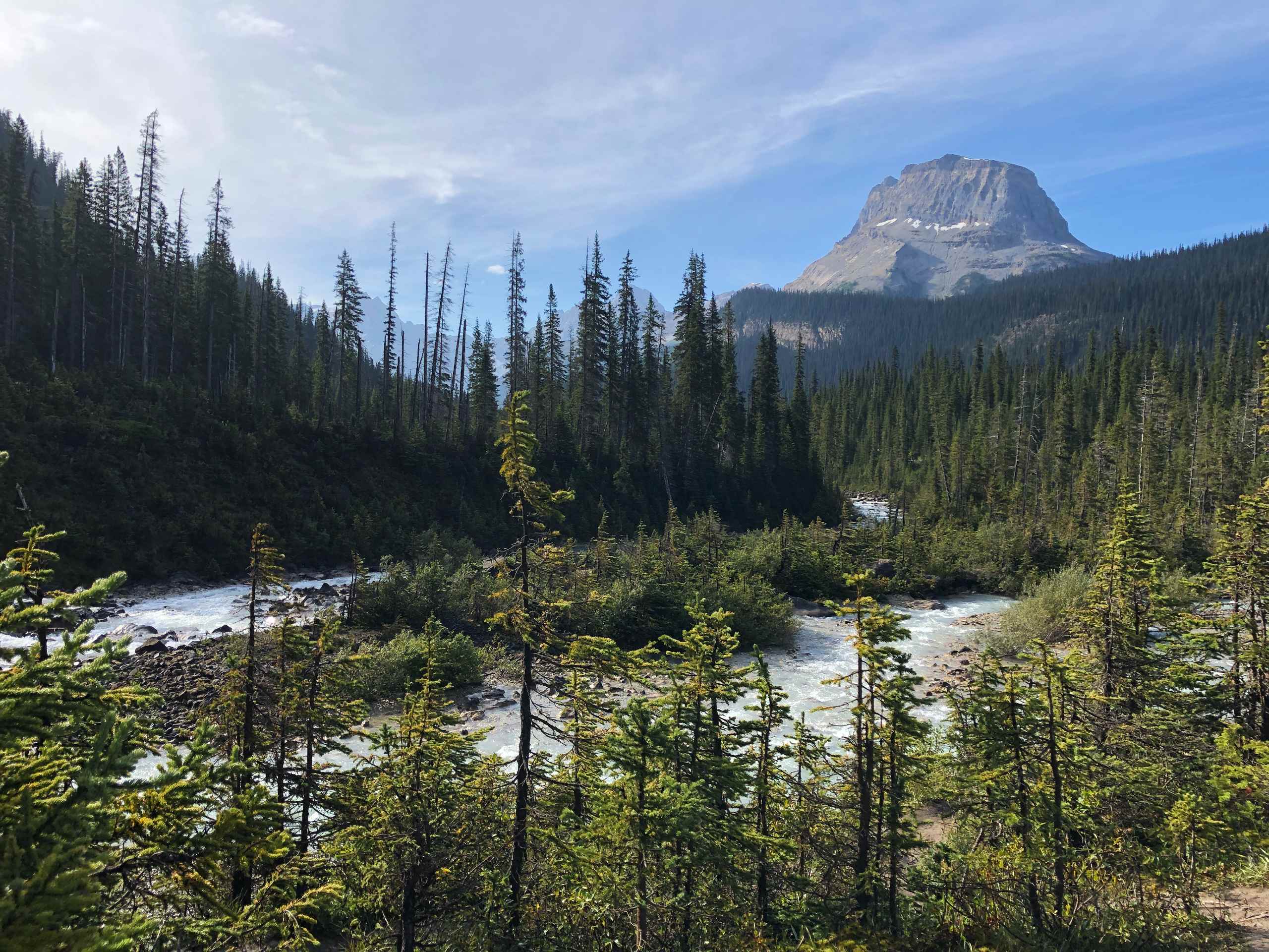 Great views near Takakkaw Falls