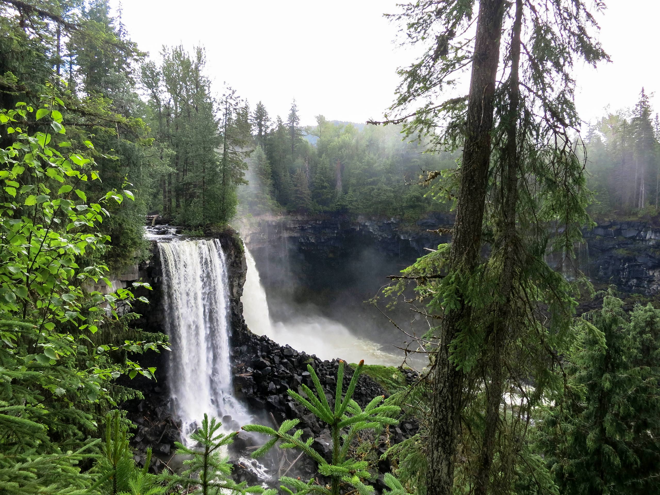 Canim Falls Trail