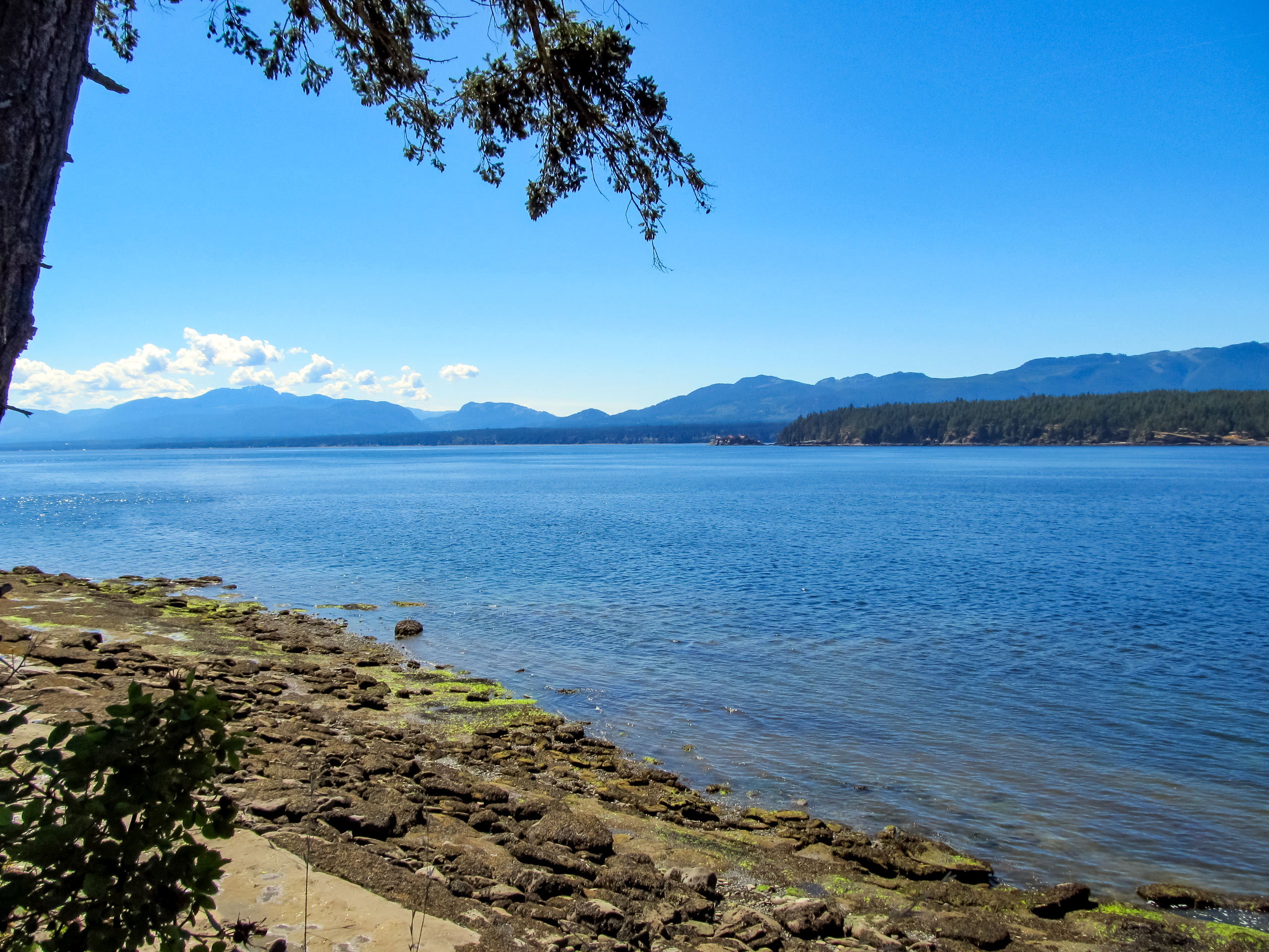 Ford Cove to Shingle Spit Trail