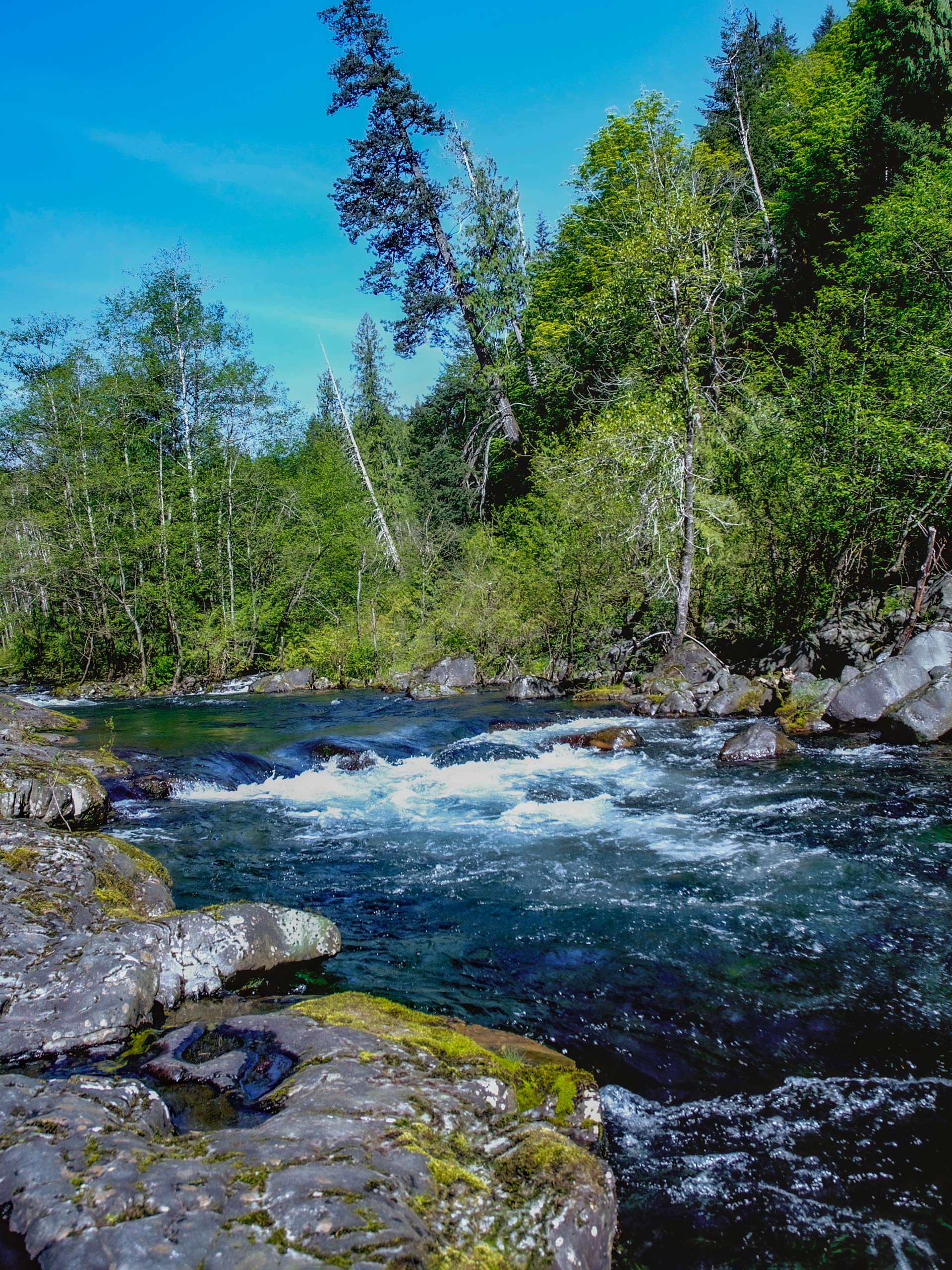 Campbell River Canyon View Trail