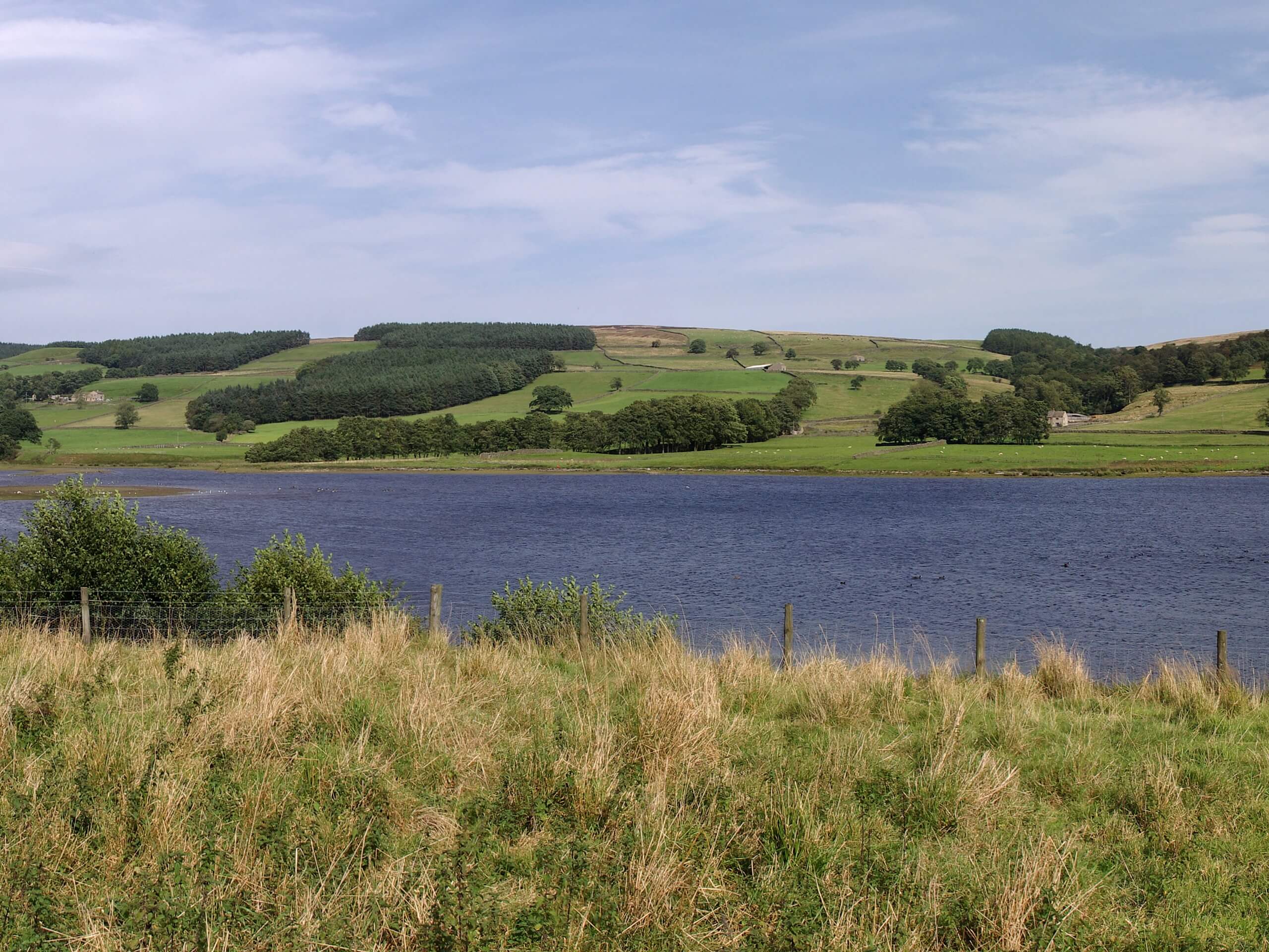 Gouthwaite Reservoir Circular Walk