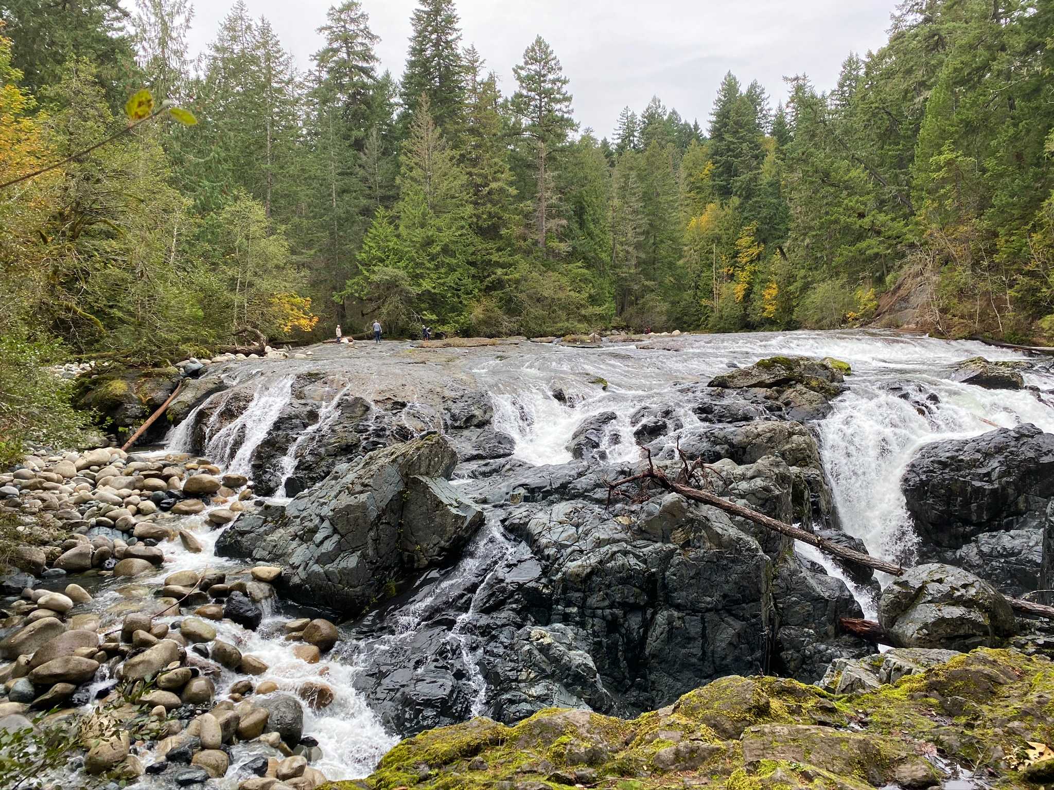 Englishman River Falls Trail