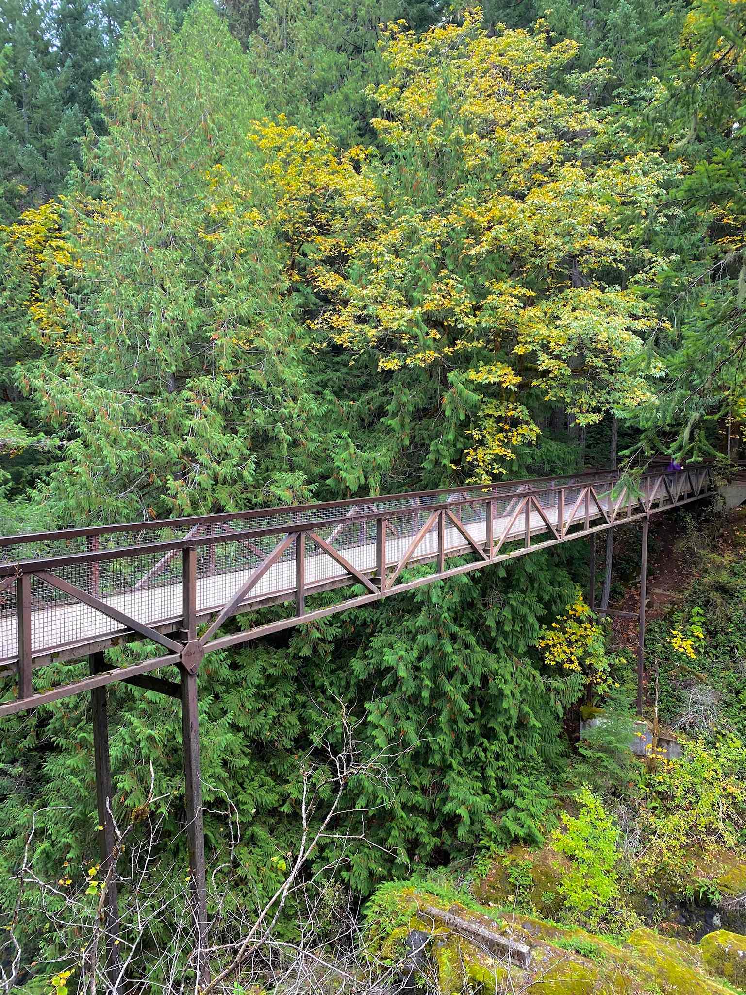 Englishman River Falls Trail