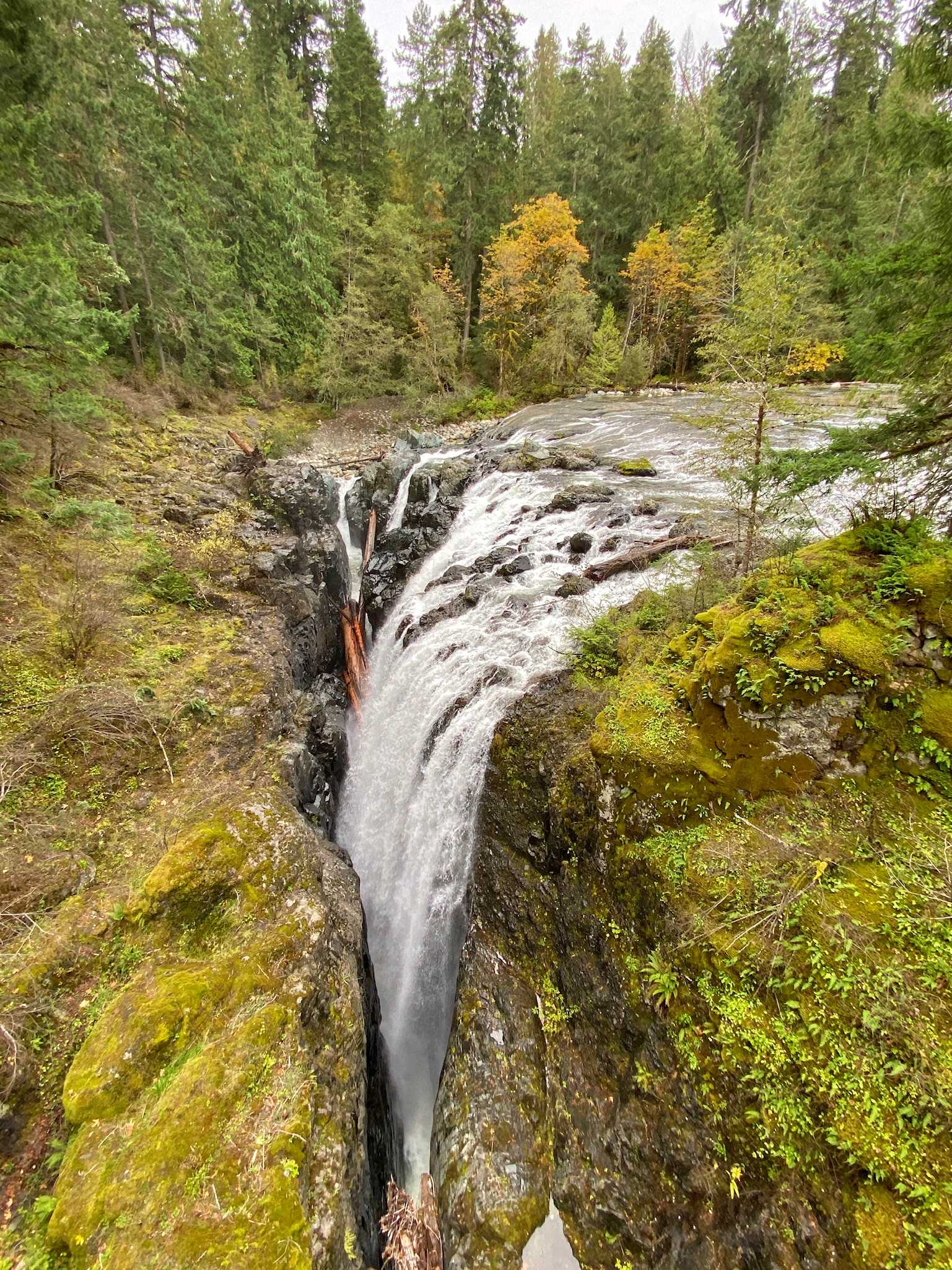 Englishman River Falls Trail