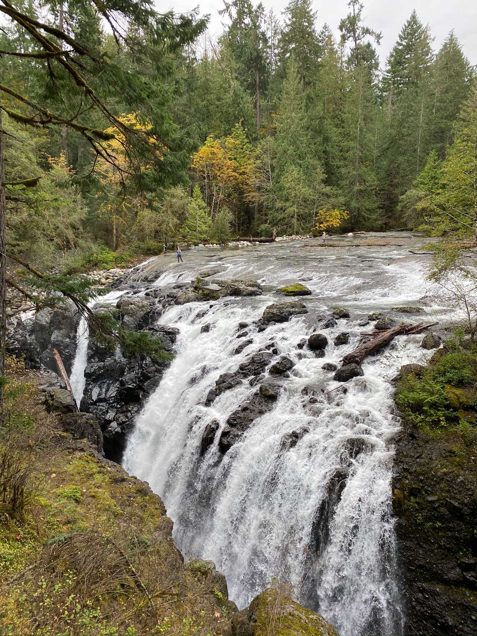 Englishman River Falls Trail