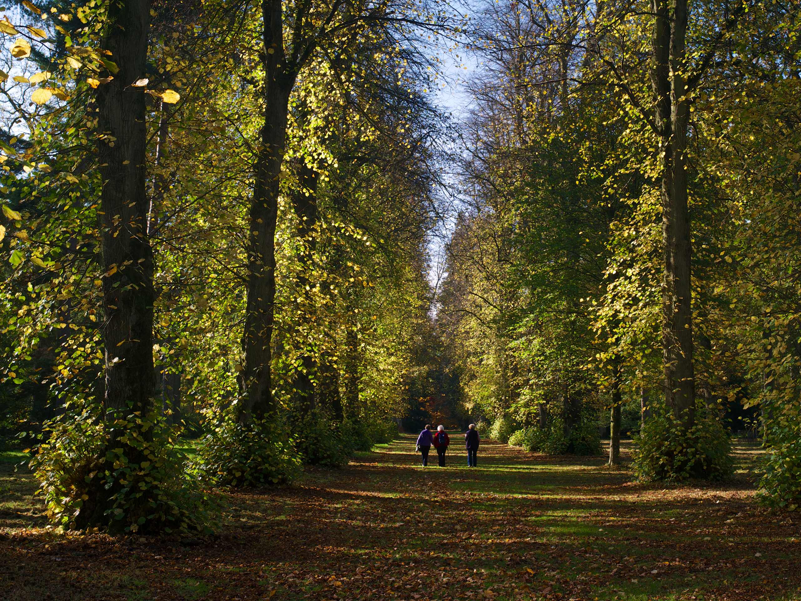 Westonbirt Arboretum Walk